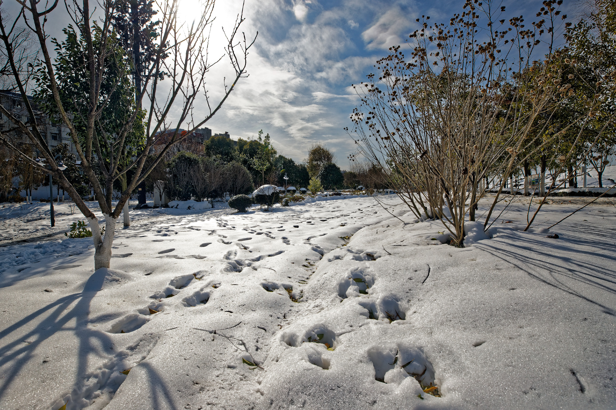 Canon EF 16-35mm F2.8L III USM sample photo. Ni photography