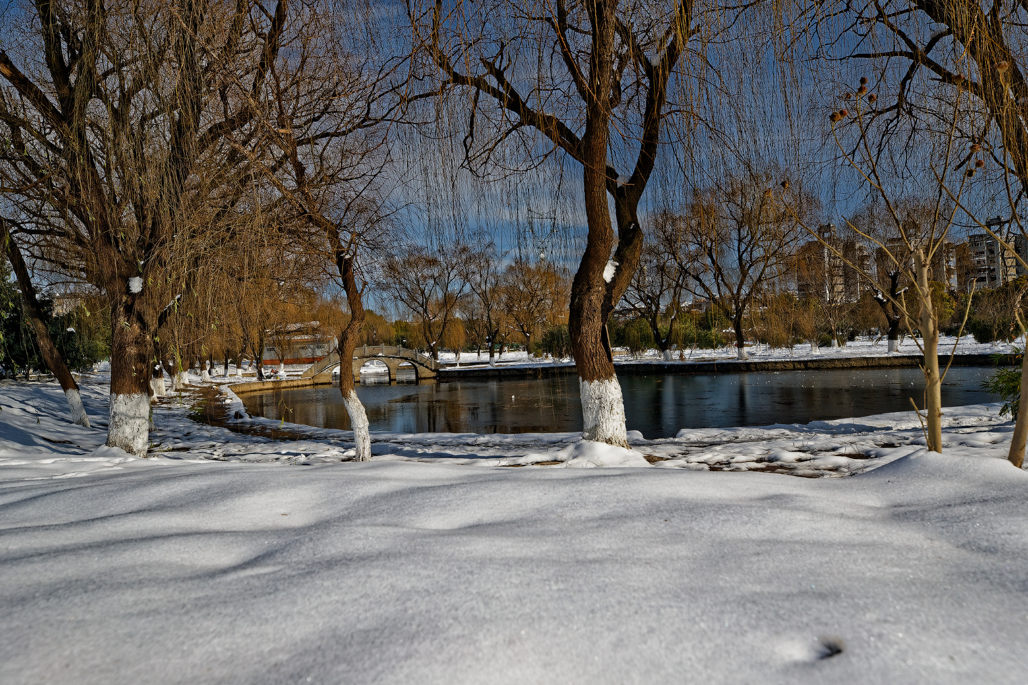 Canon EF 16-35mm F2.8L III USM sample photo. Ni photography