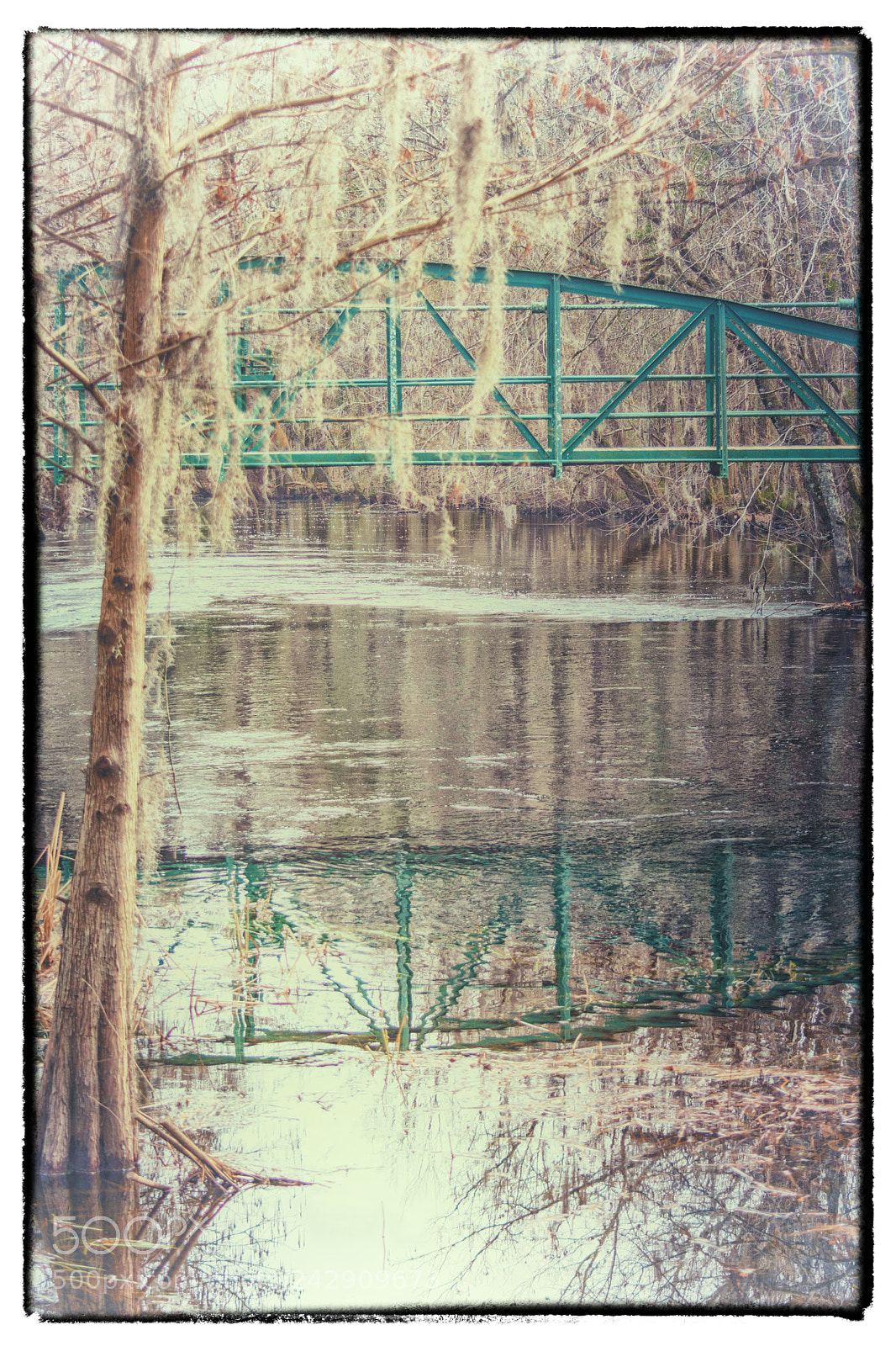 Nikon D7200 sample photo. Down home on the photography
