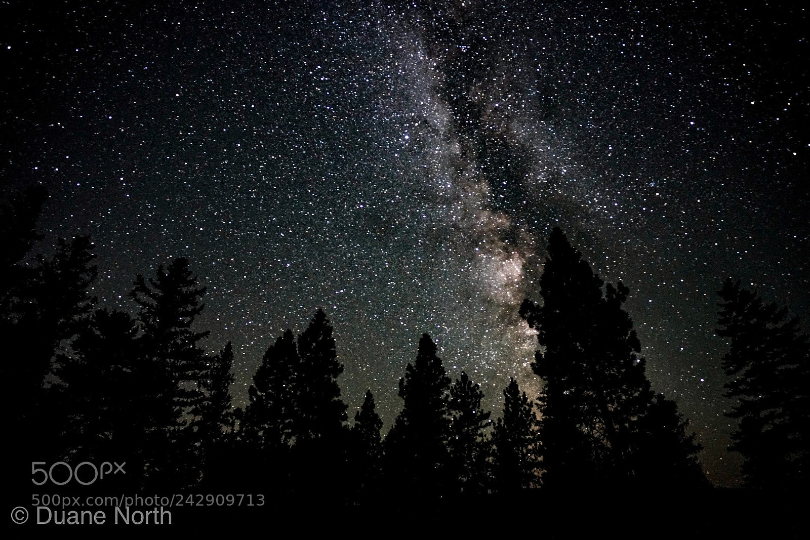 Sony a7R II sample photo. Starry night photography