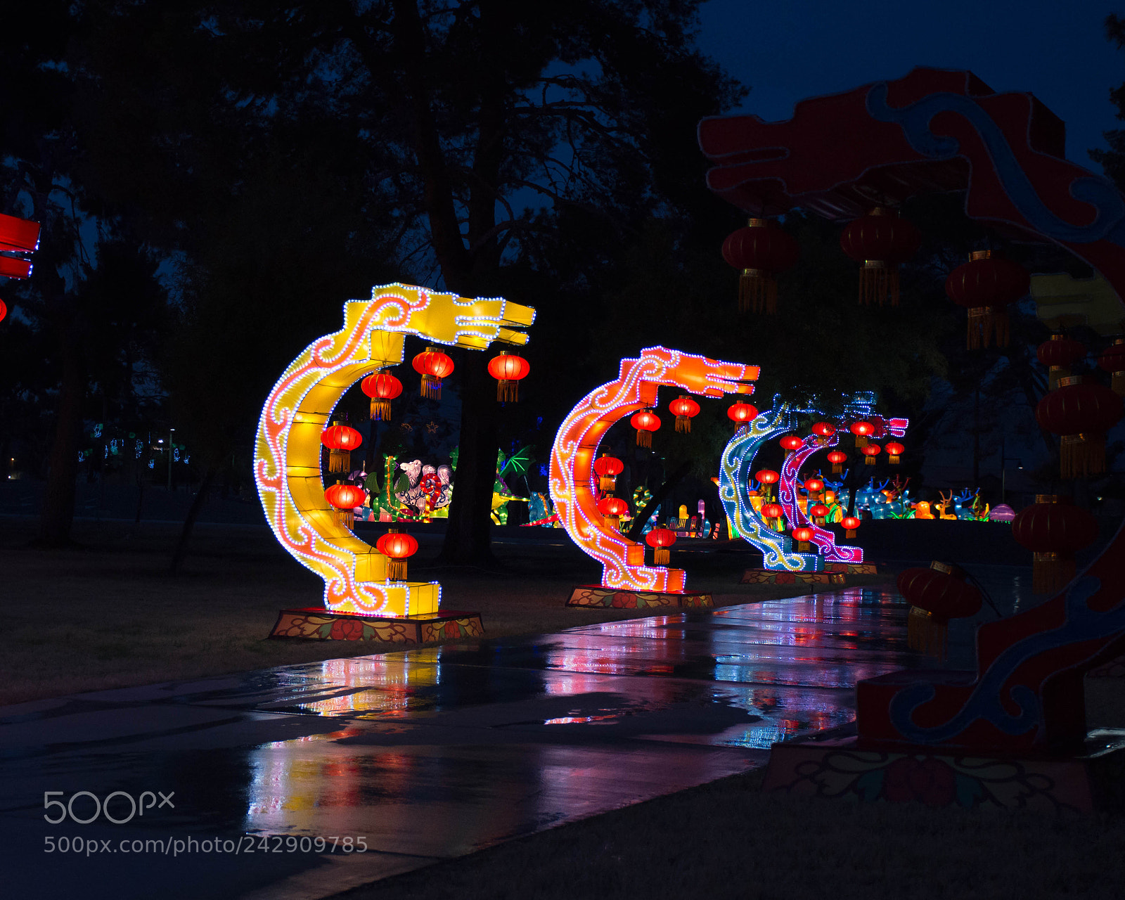 Nikon D7200 sample photo. Cim photography