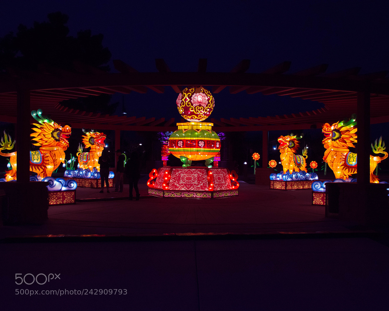 Nikon D7200 sample photo. Cim photography
