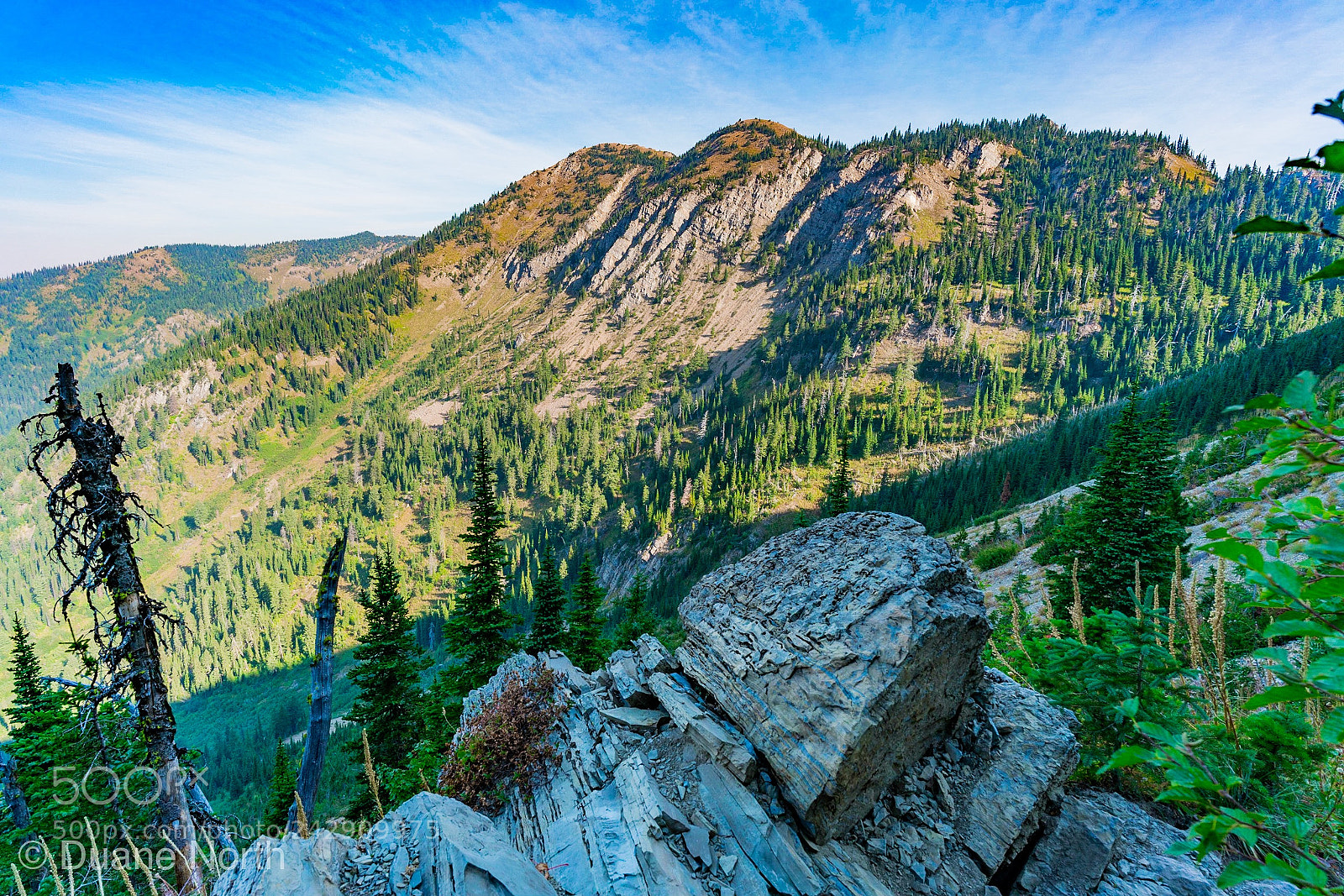 Sony a7R II sample photo. Montana rockies photography