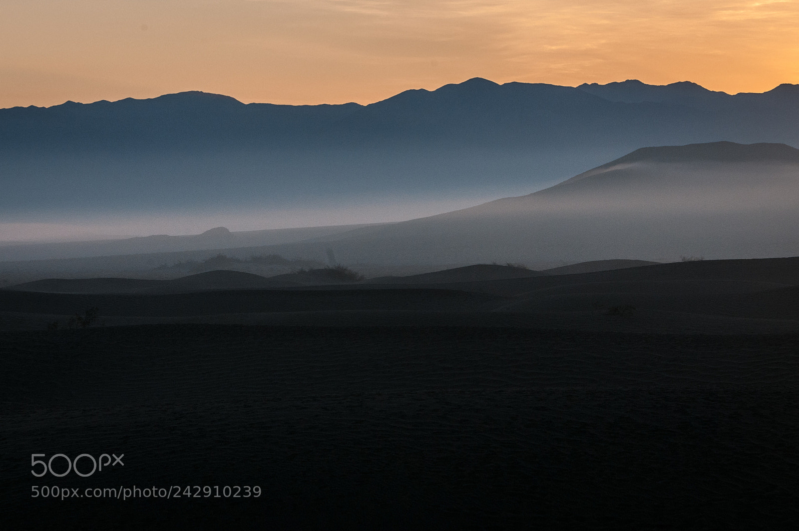 Nikon D300 sample photo. Misty mesquite flats sunrise photography