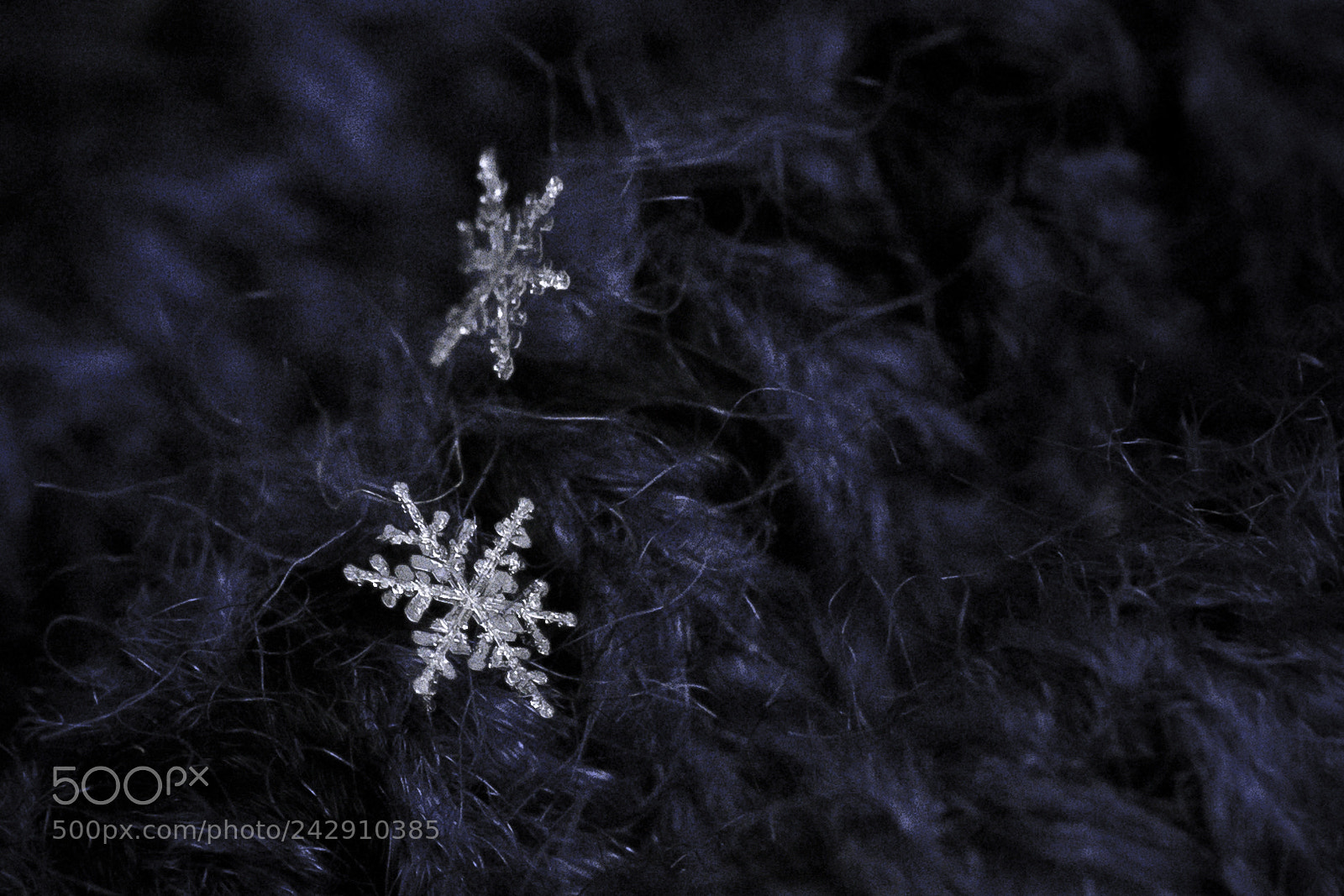 Sony a7 sample photo. New england macro snowflakes photography