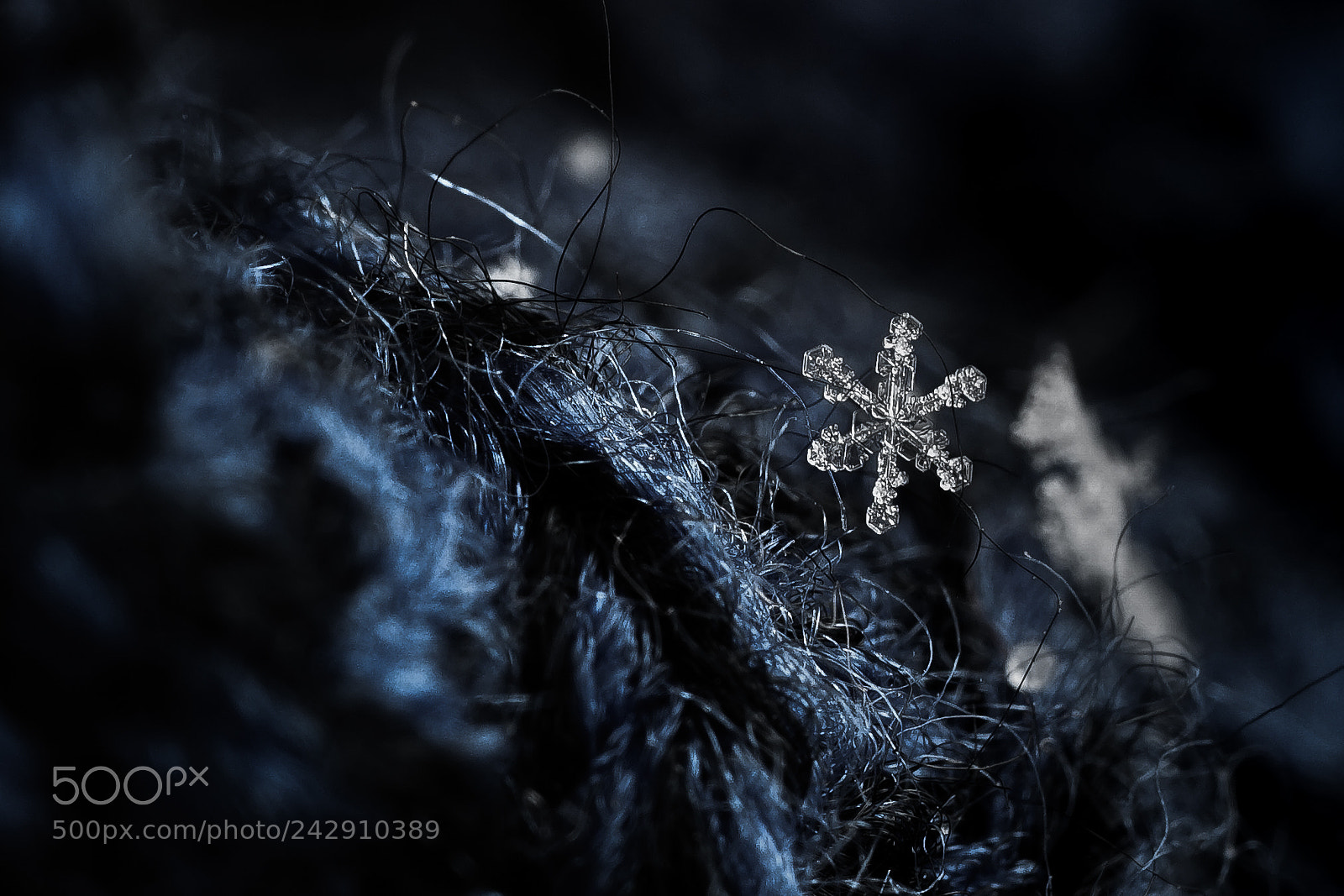 Sony a7 sample photo. New england macro snowflakes photography