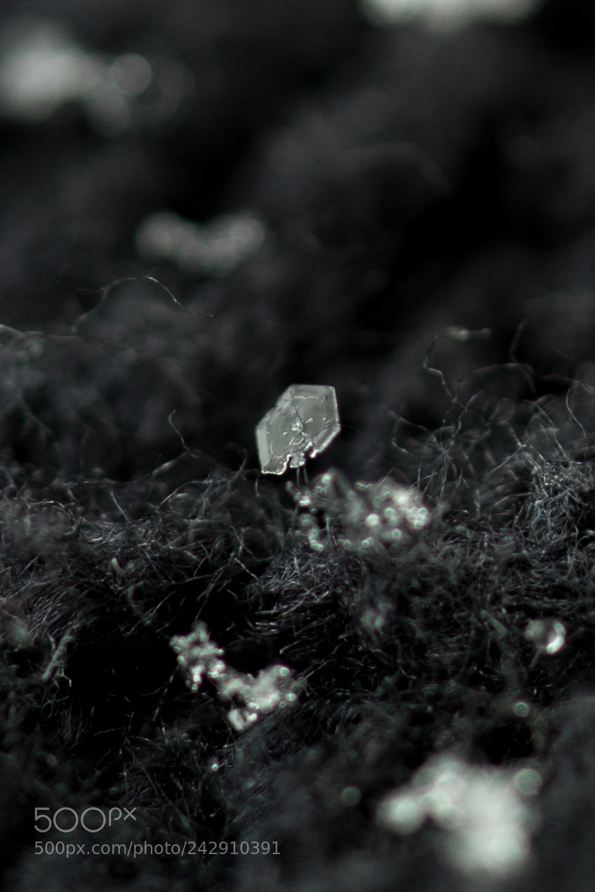 Sony a7 sample photo. New england macro snowflakes photography