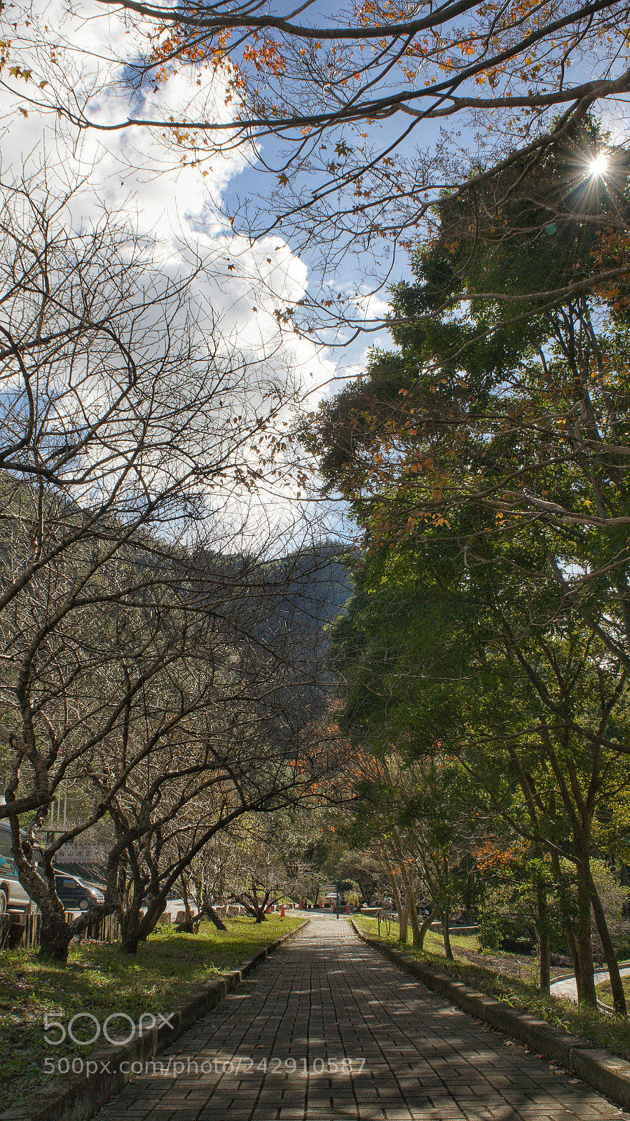 Sony Alpha NEX-5N sample photo. Untitled photography