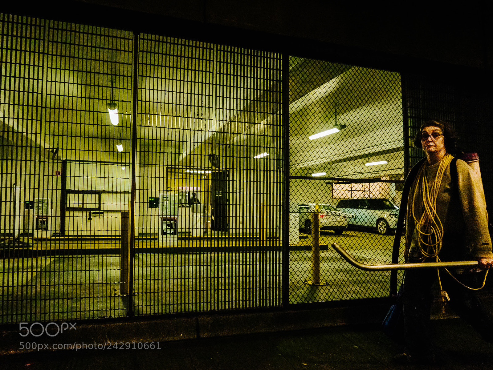 Leica D-Lux (Typ 109) sample photo. Garage drive by photography