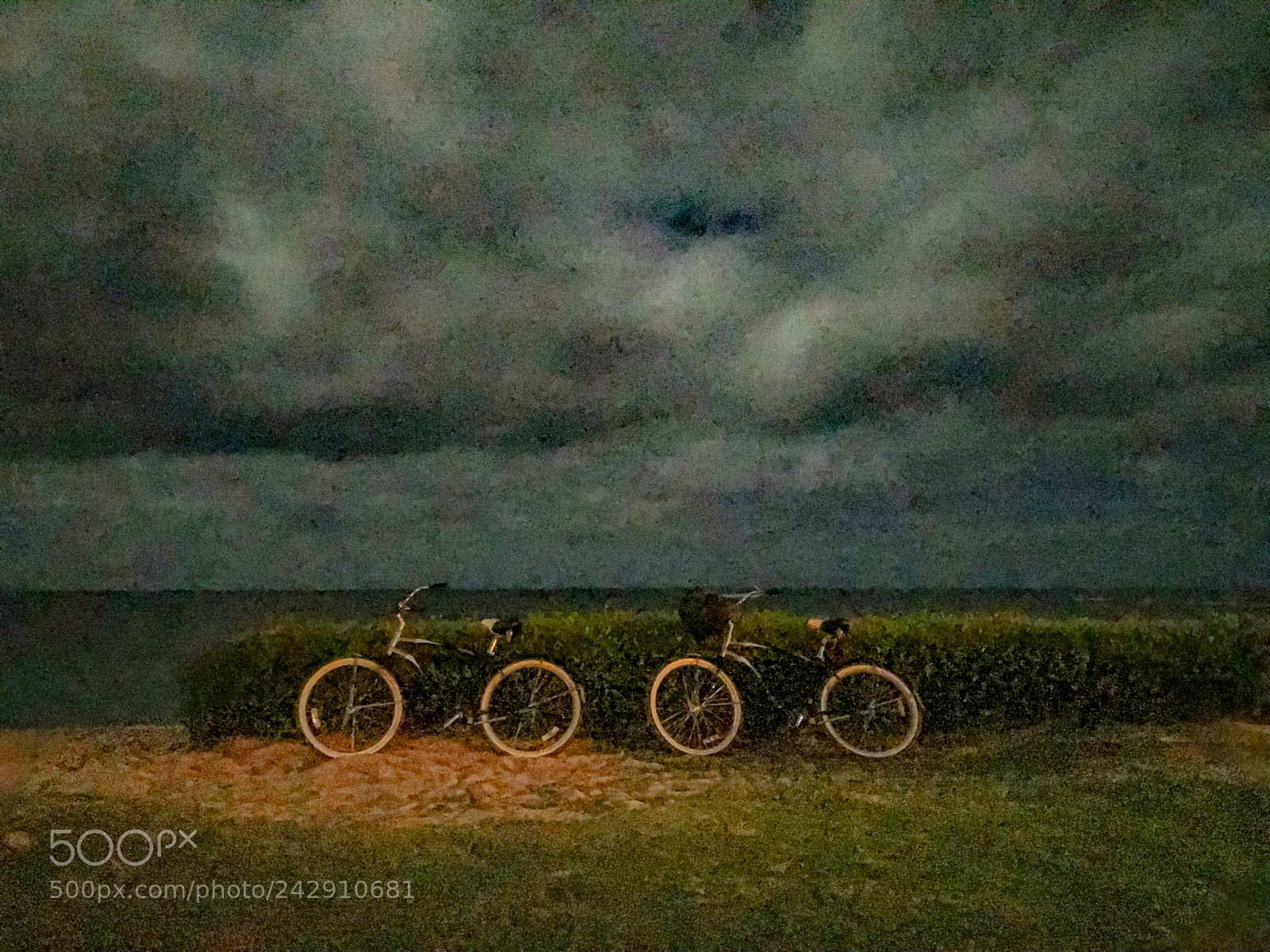 Apple iPhone 7 sample photo. Bicycles in the moonlight photography