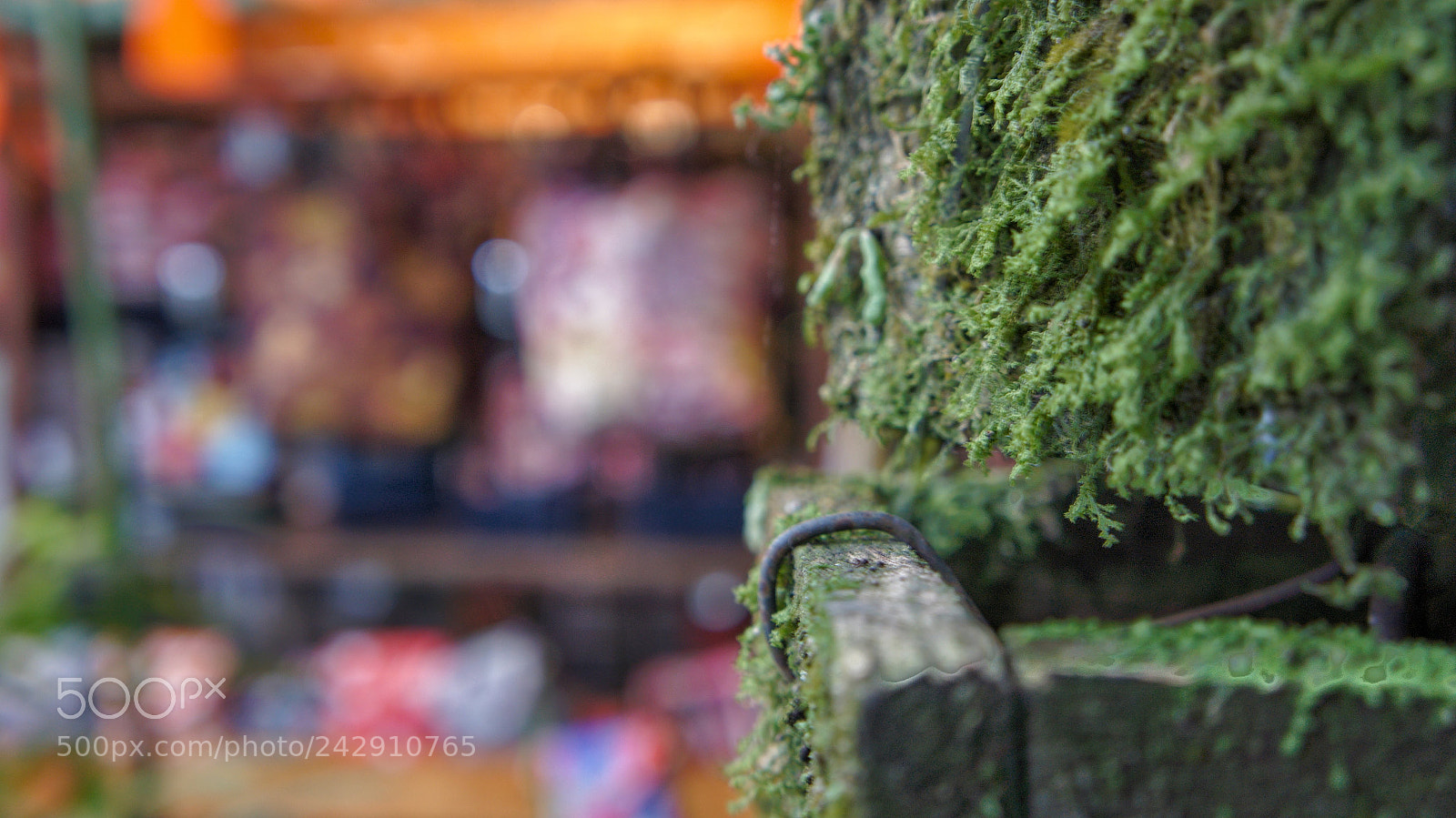 Sony Alpha NEX-5N sample photo. Untitled photography