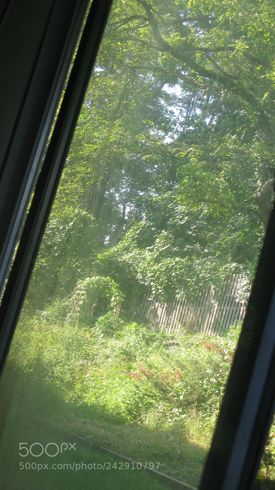 Canon POWERSHOT G9 sample photo. Read between the lines photography