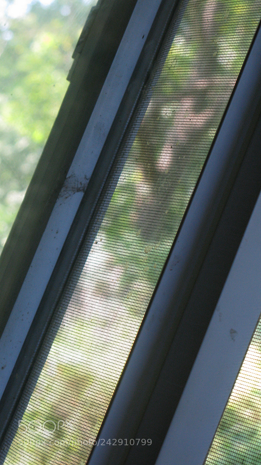 Canon POWERSHOT G9 sample photo. Read between the lines photography