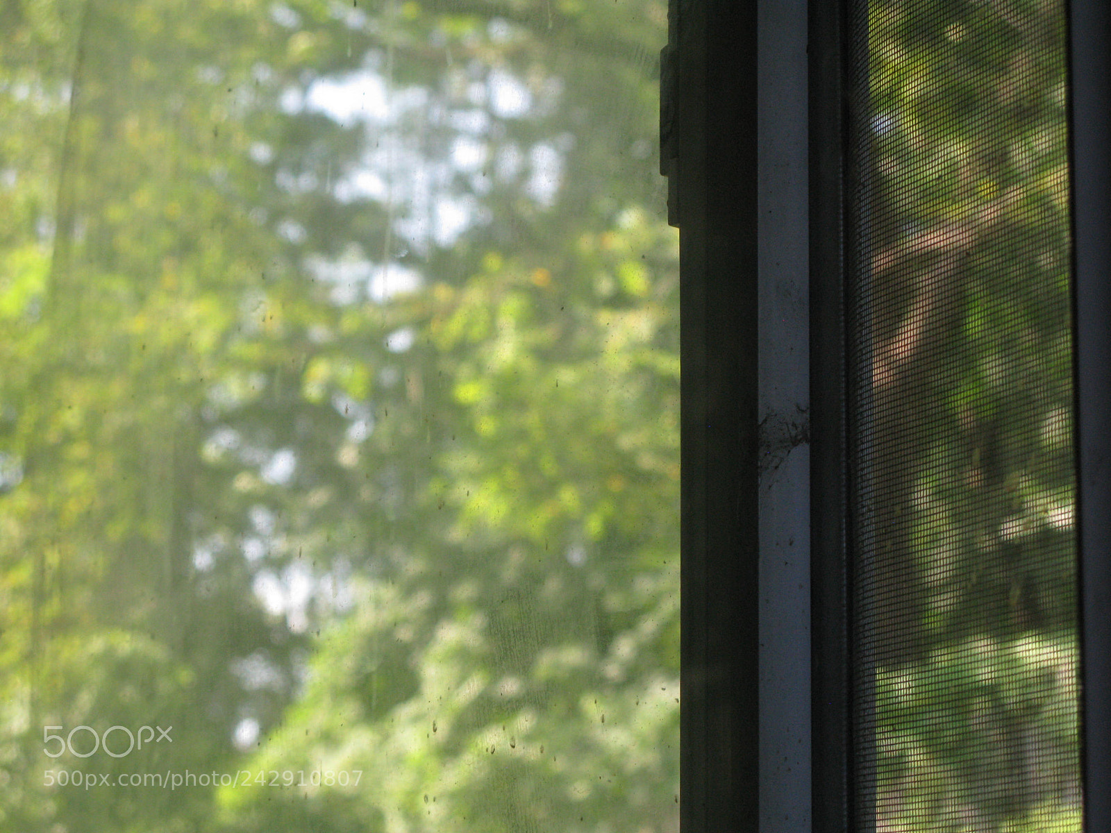 Canon POWERSHOT G9 sample photo. Read between the lines photography