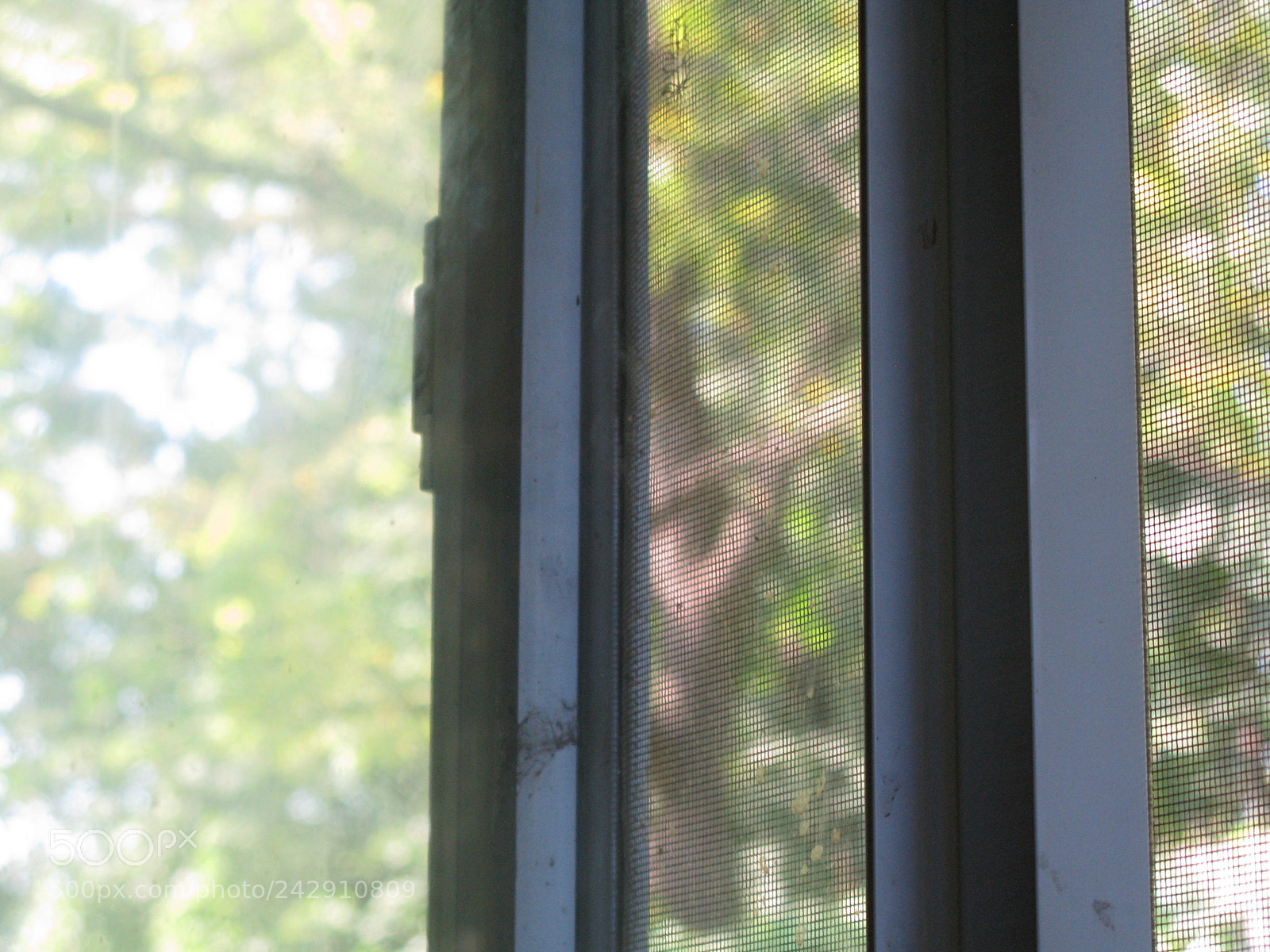 Canon POWERSHOT G9 sample photo. Read between the lines photography