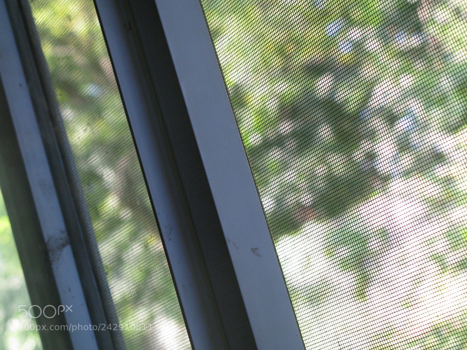 Canon POWERSHOT G9 sample photo. Read between the lines photography