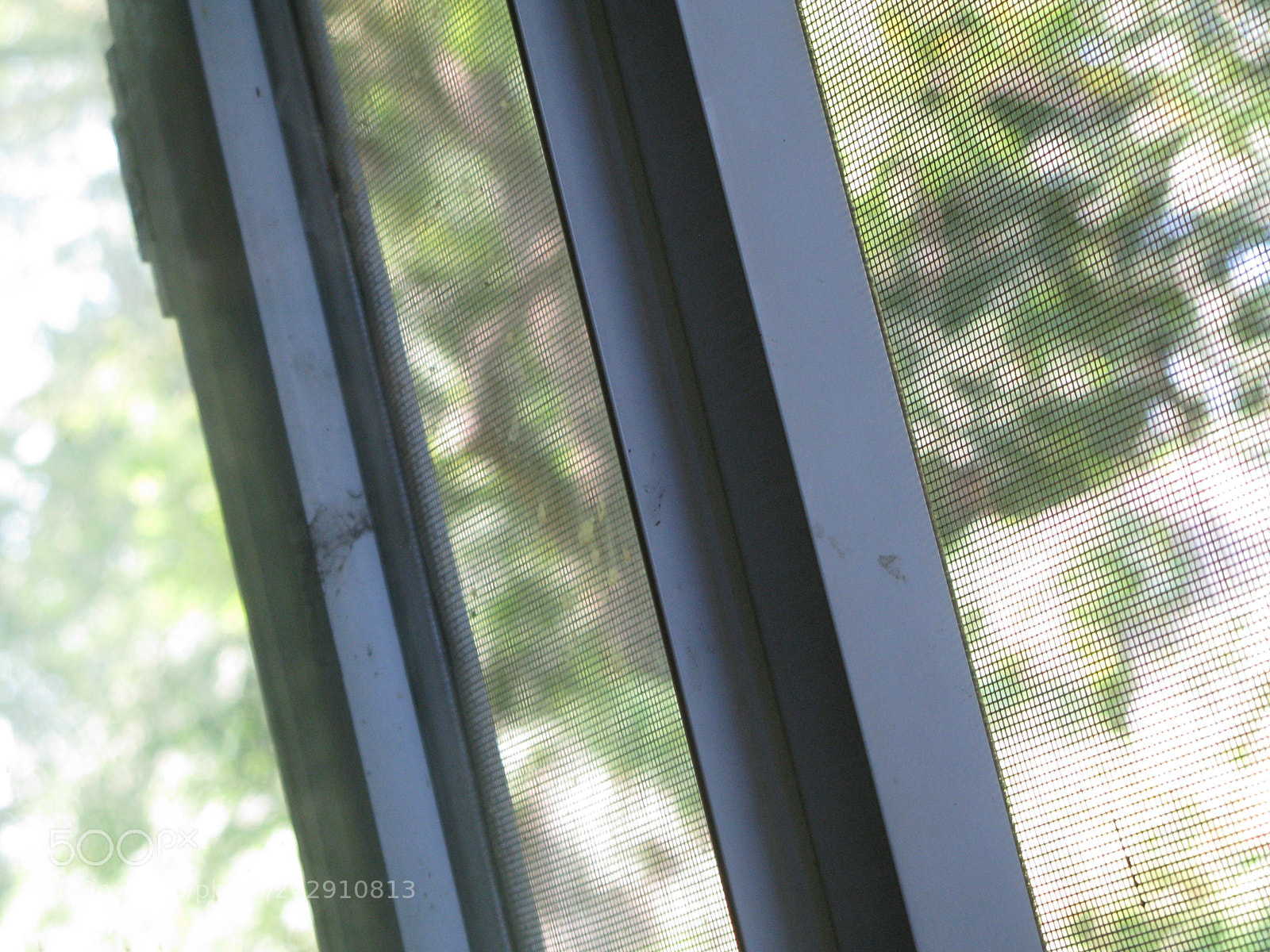 Canon POWERSHOT G9 sample photo. Read between the lines photography