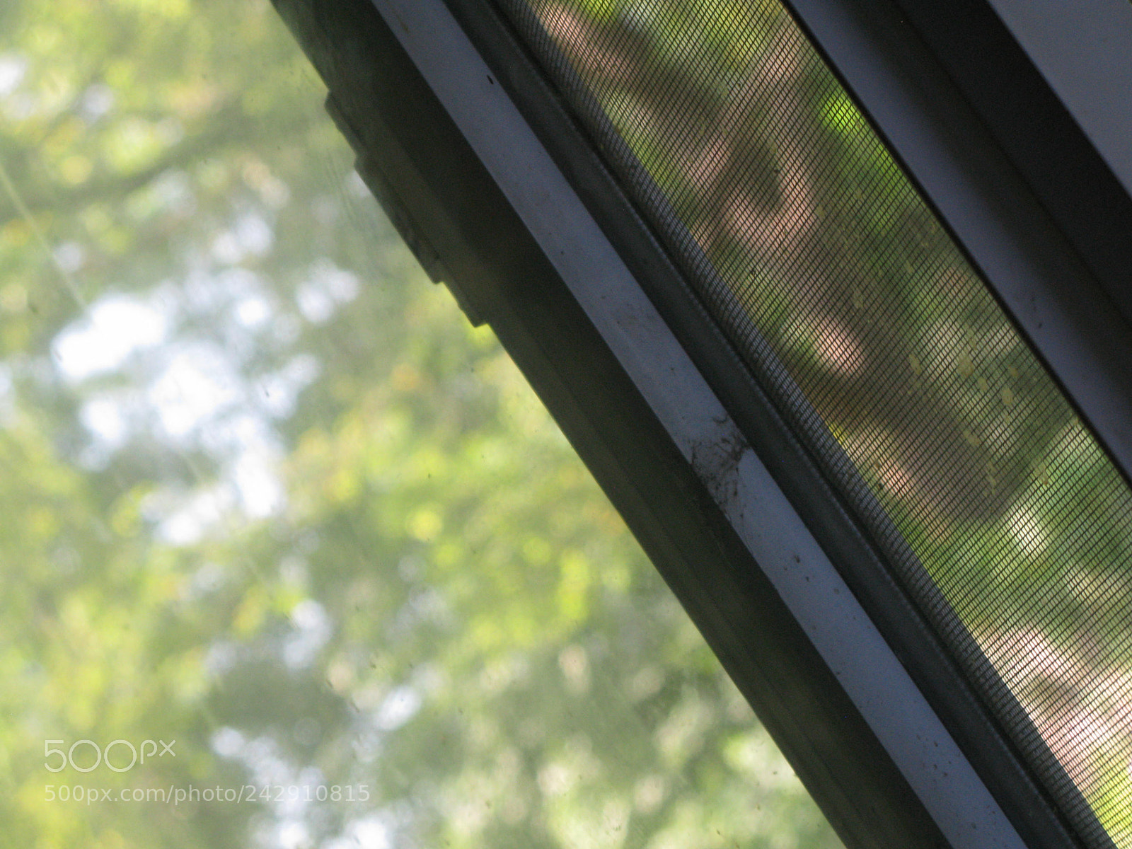 Canon POWERSHOT G9 sample photo. Read between the lines photography