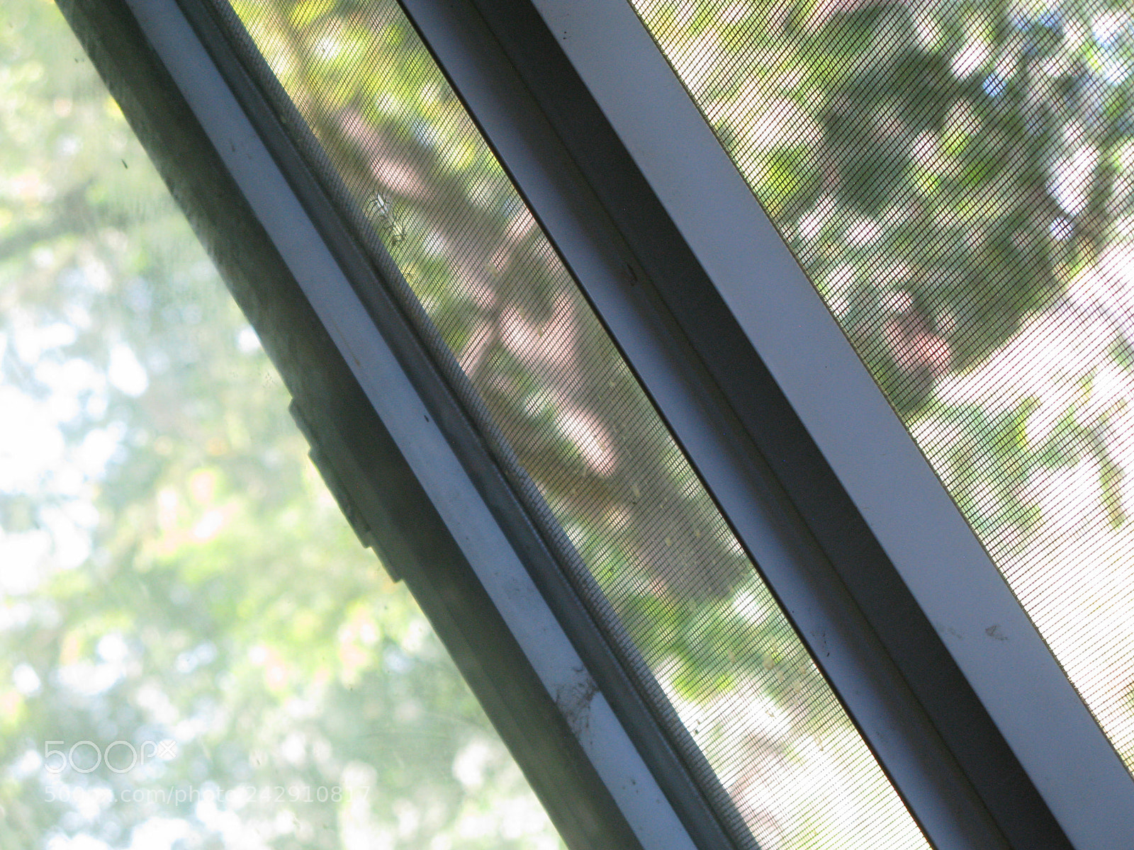 Canon POWERSHOT G9 sample photo. Read between the lines photography