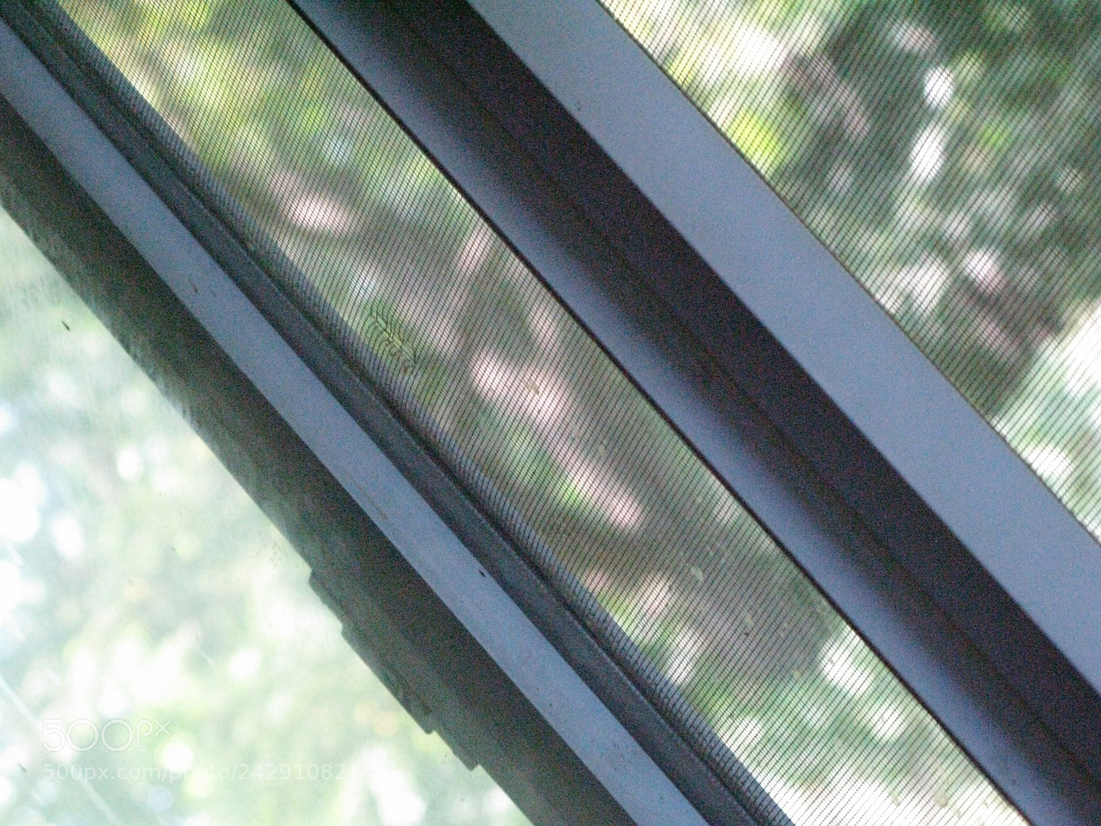 Canon POWERSHOT G9 sample photo. Read between the lines photography