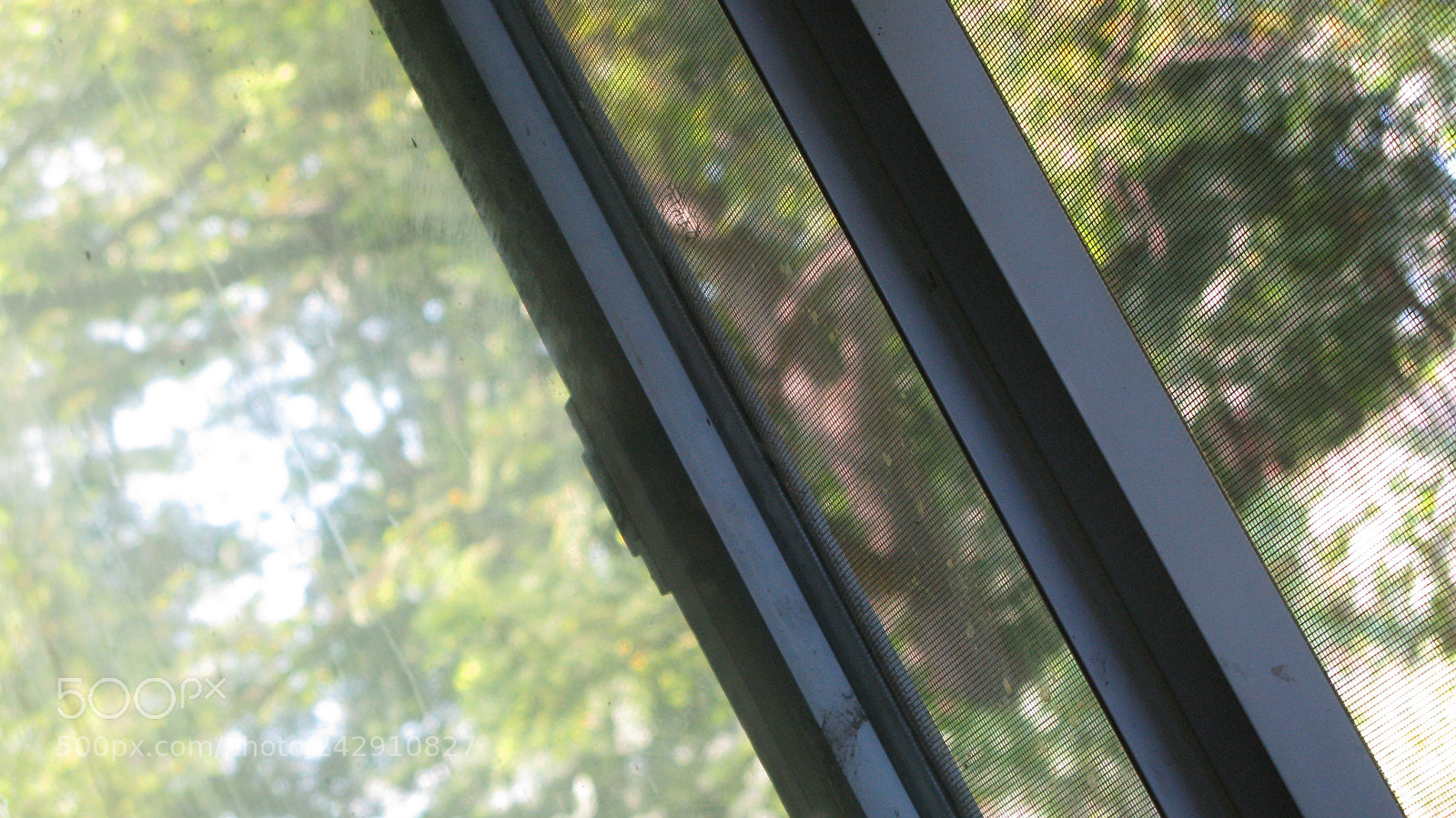 Canon POWERSHOT G9 sample photo. Read between the lines photography