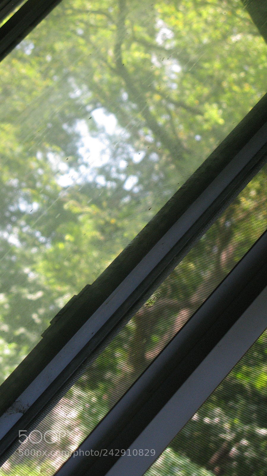 Canon POWERSHOT G9 sample photo. Read between the lines photography
