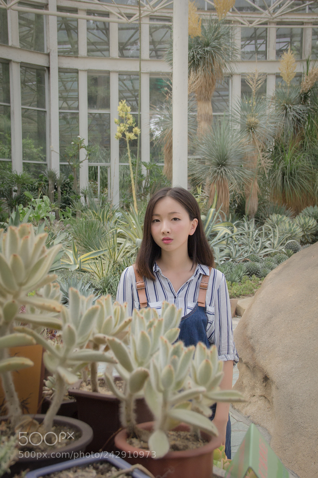 Canon EOS 60D sample photo. Img photography