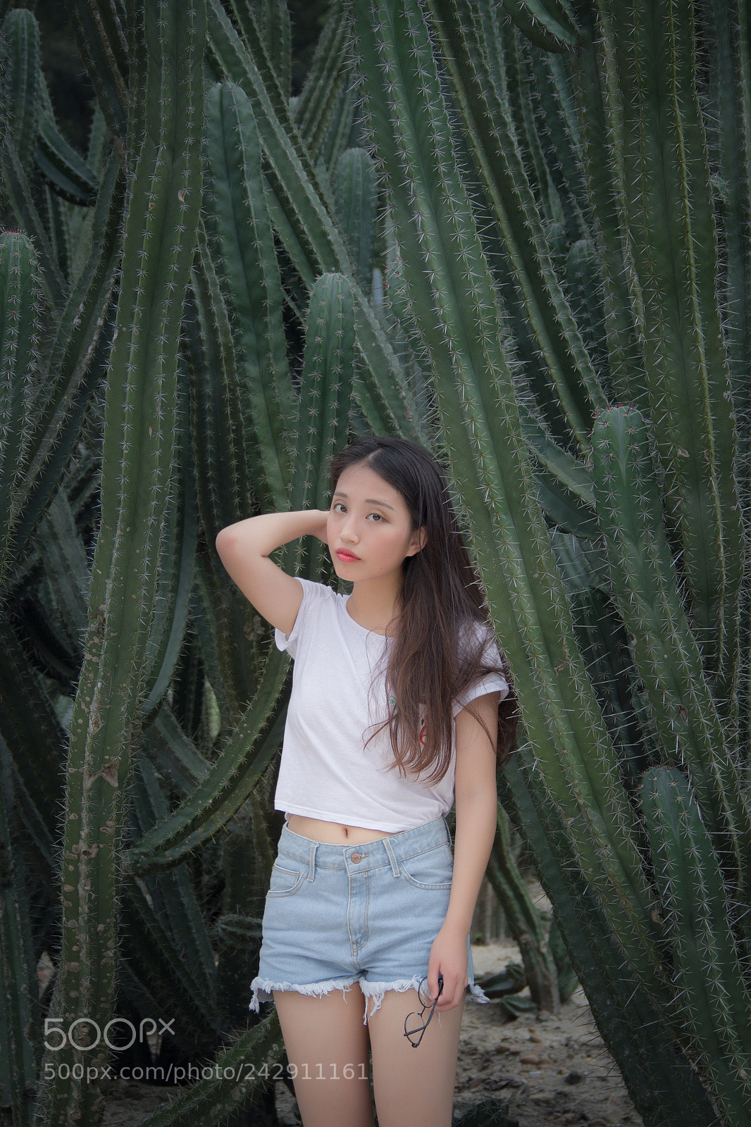 Canon EOS 60D sample photo. Img photography