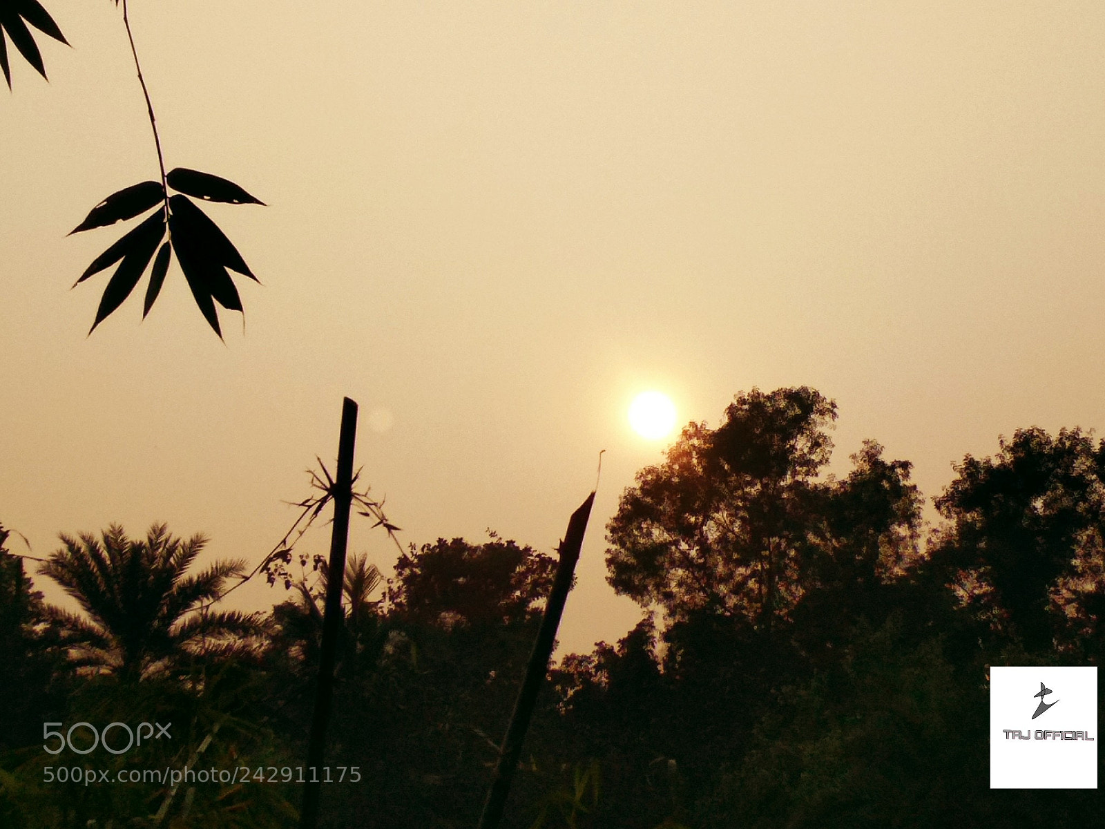 Xiaomi Redmi 4X sample photo. Untitled photography