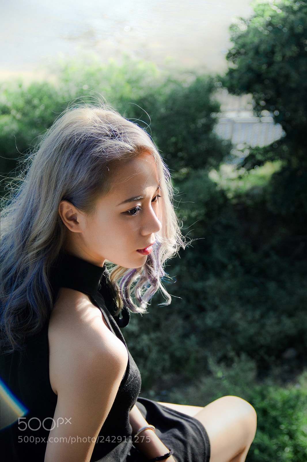 Canon EOS 60D sample photo. 编辑 photography