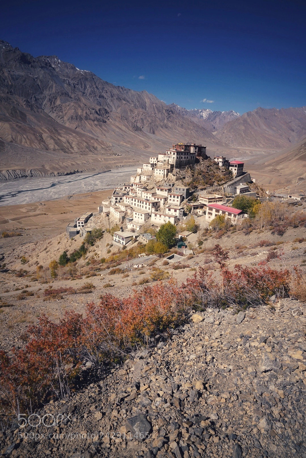 Sony a7R II sample photo. Kashmir，key monastery. photography