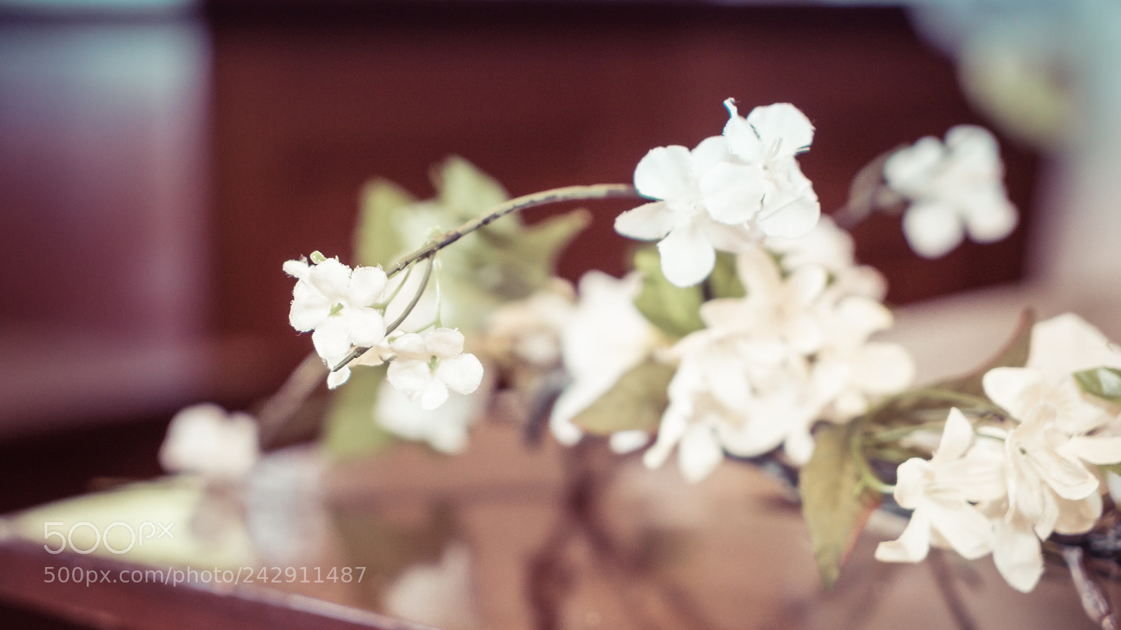 Sony a7S II sample photo. Dsc photography