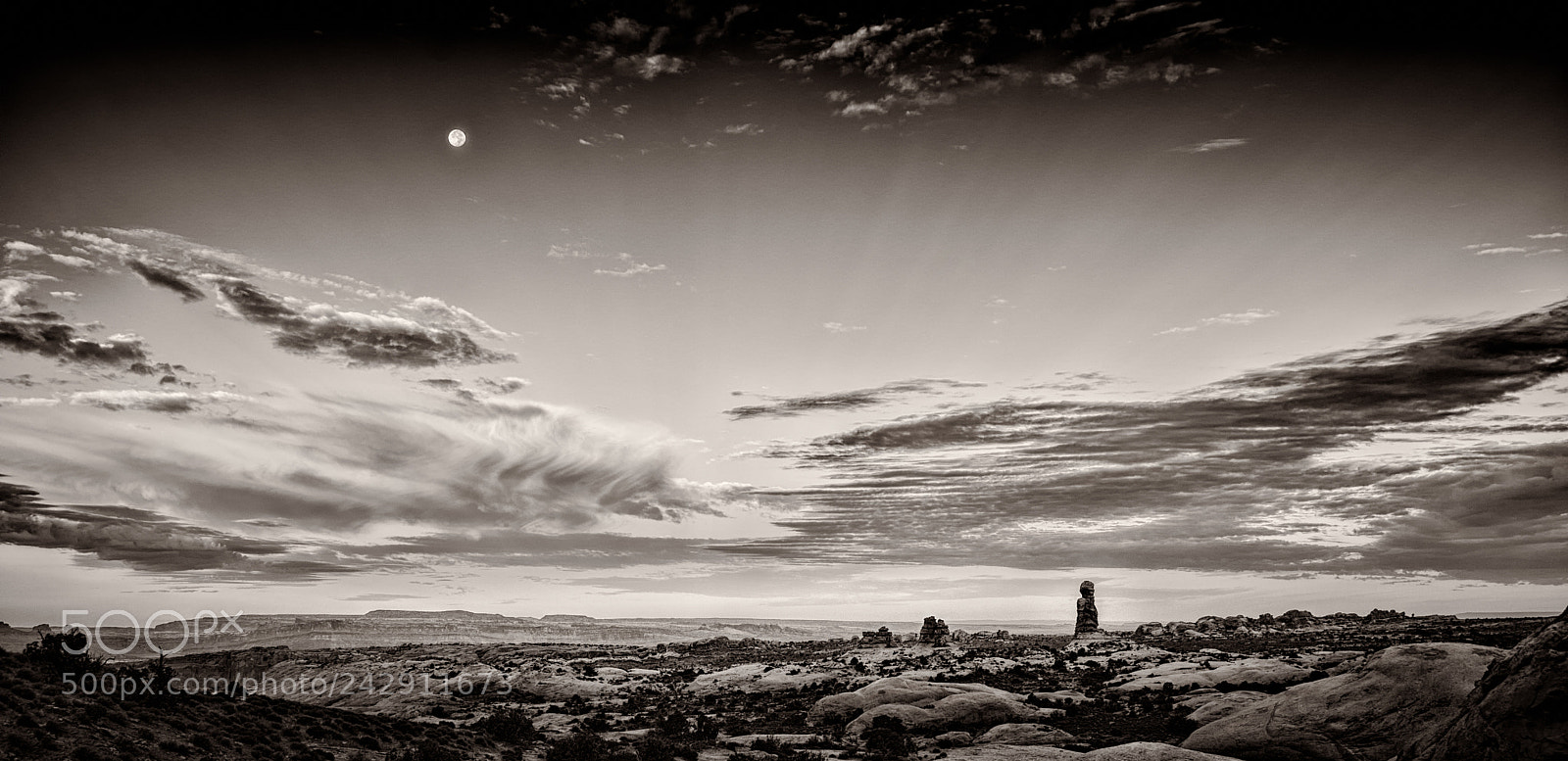 Nikon D7100 sample photo. Moon watcher photography