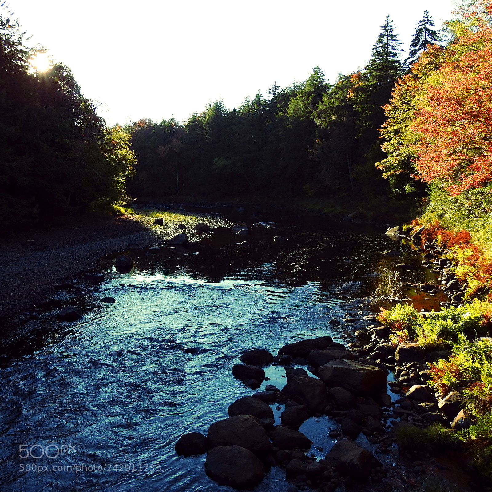 Nikon Coolpix P900 sample photo. Mountain river in autumn photography