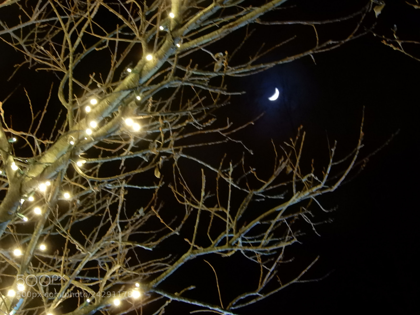 Nikon Coolpix A900 sample photo. Moon peeking thru lighted photography