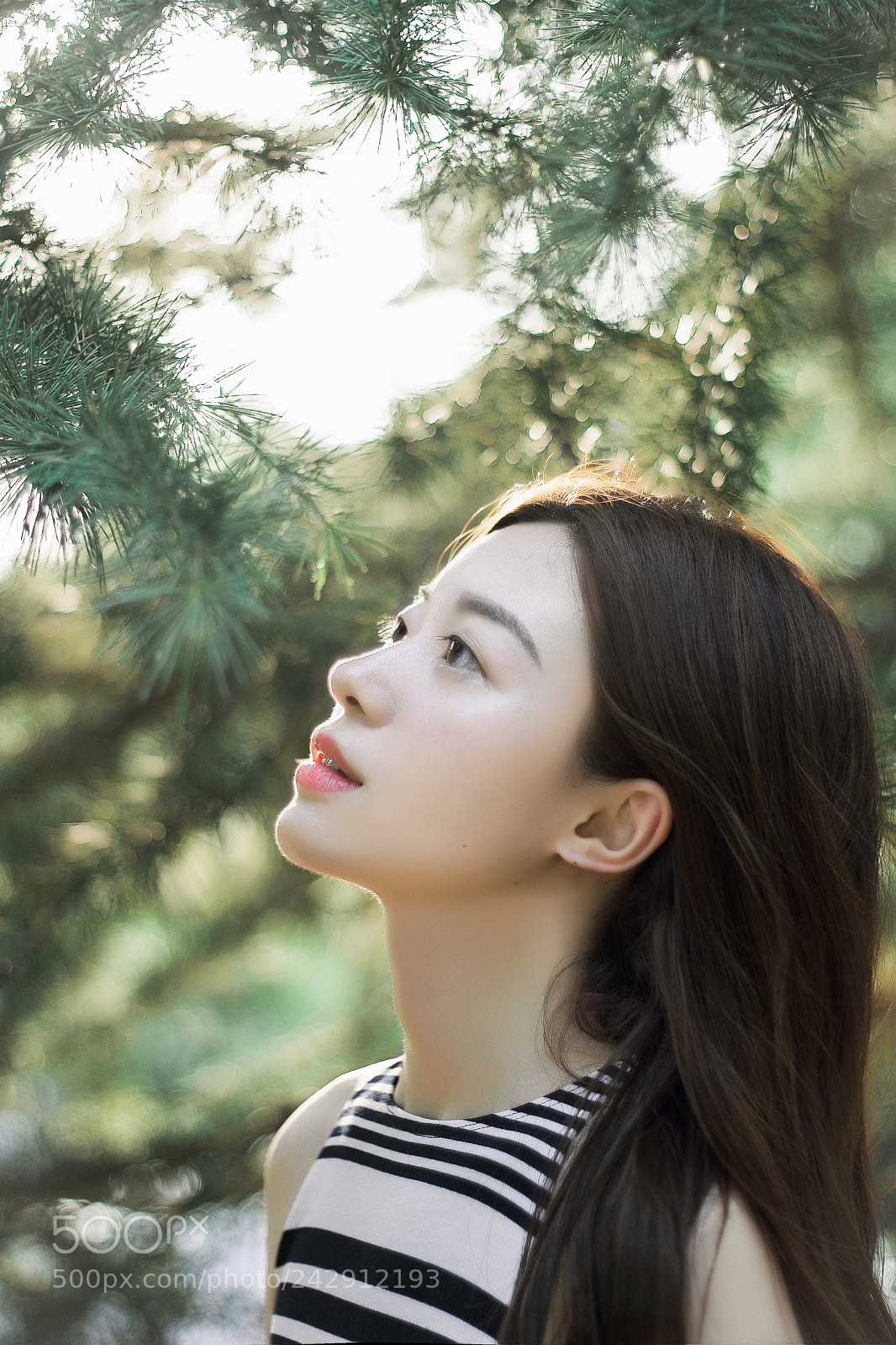 Canon EOS 60D sample photo. Img photography
