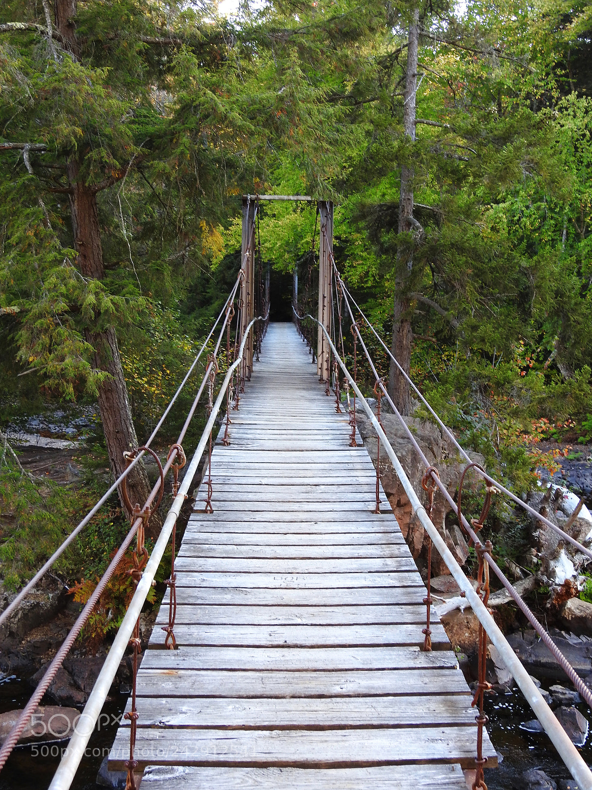 Nikon Coolpix P900 sample photo. Hanging wooden bridge over photography