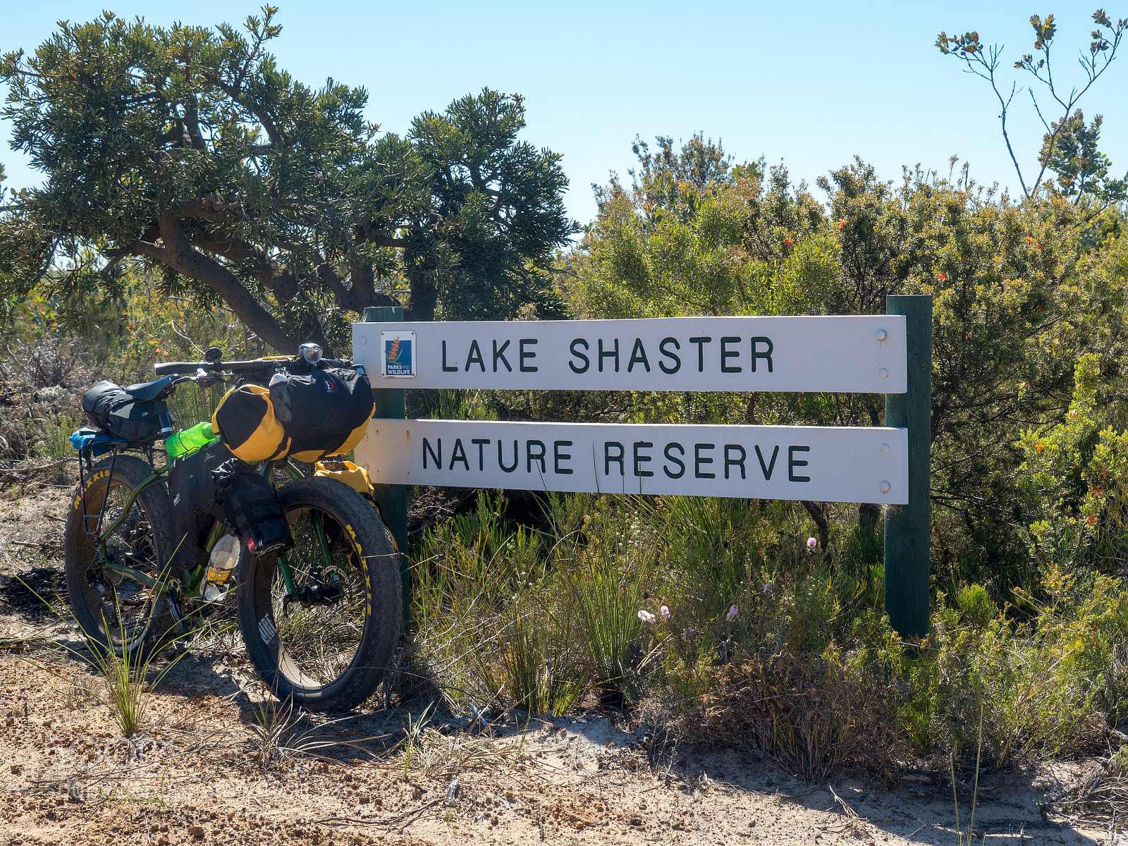 Olympus OM-D E-M5 II sample photo. Lake shaster nature reserve photography