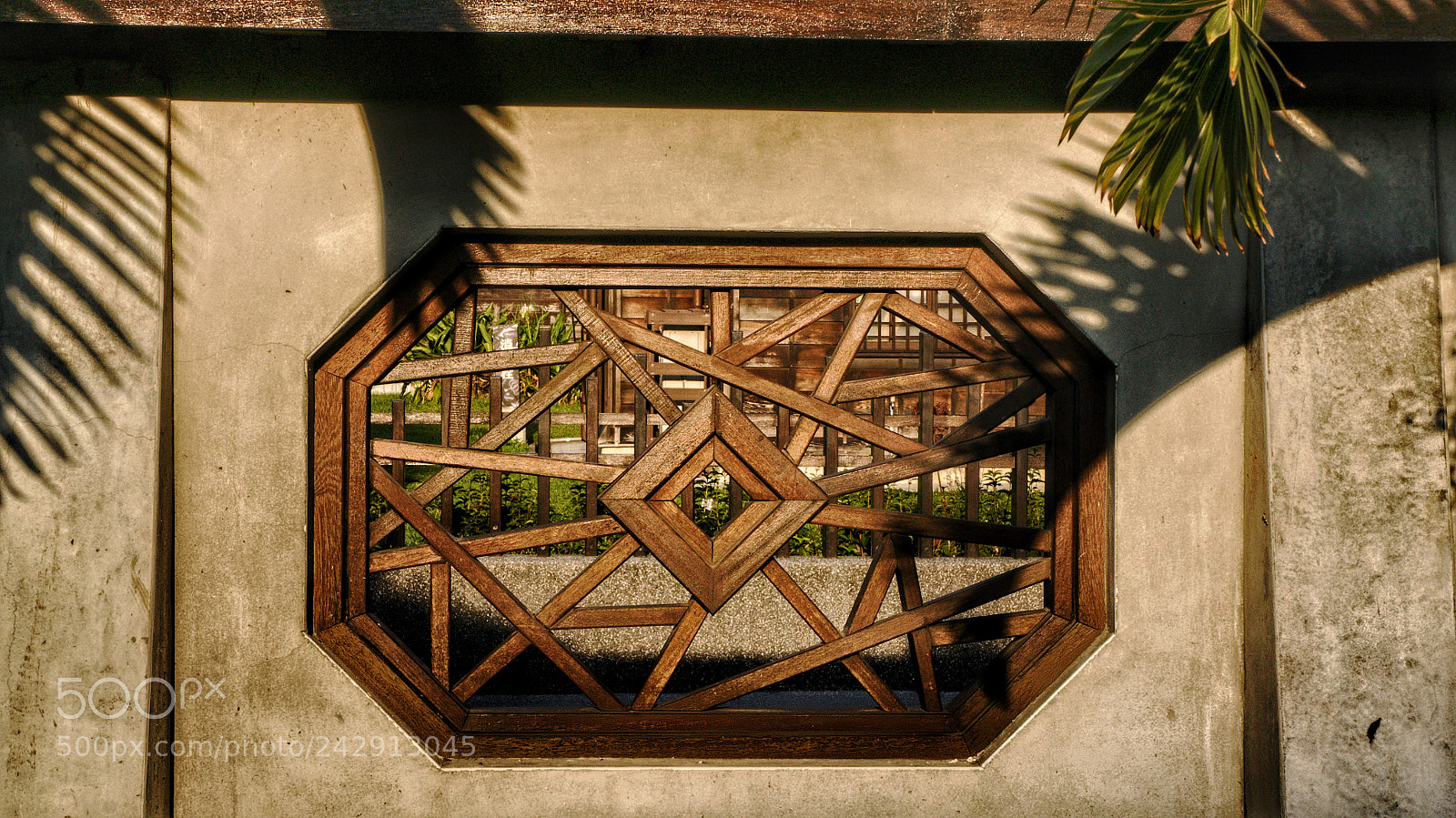 Sony Alpha NEX-5N sample photo. Untitled photography