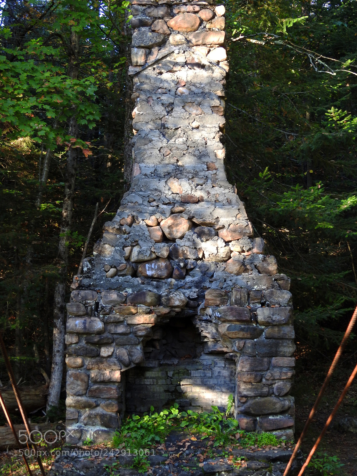 Nikon Coolpix P900 sample photo. Fireplace in the forest photography