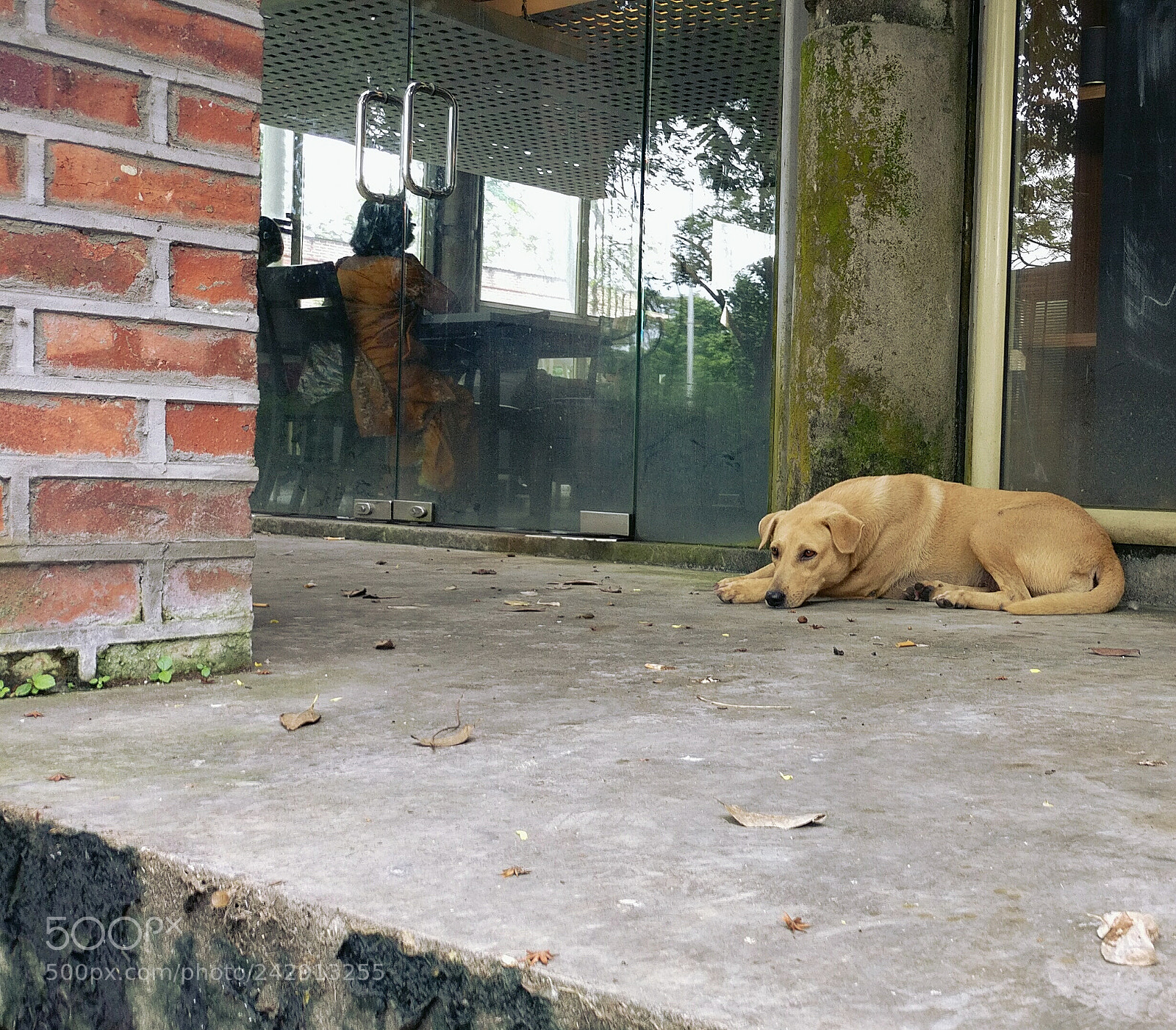OnePlus A3010 sample photo. Untitled photography