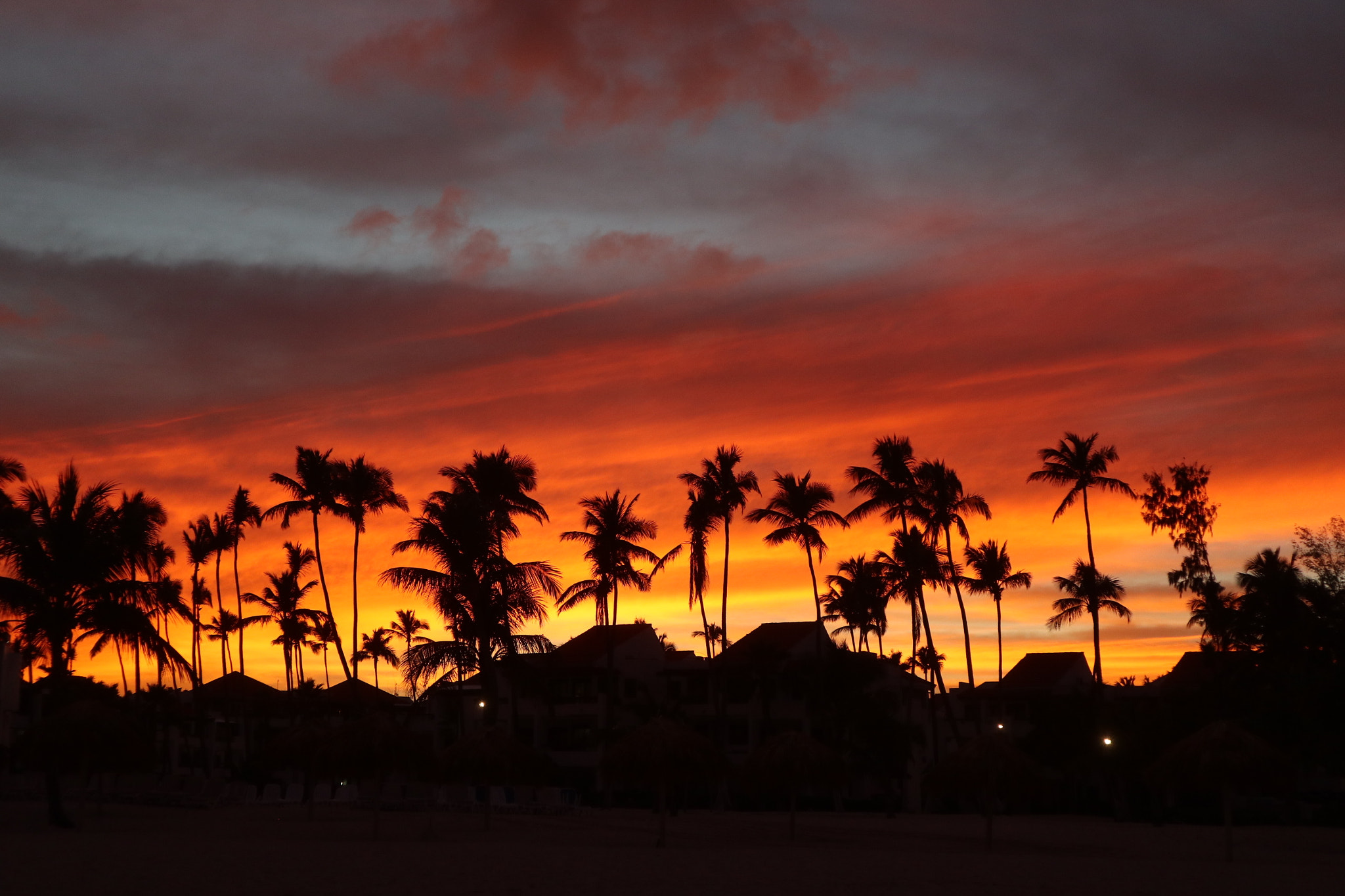 Canon EOS M100 sample photo. Dominican republic- bavaro. sunrise. photography