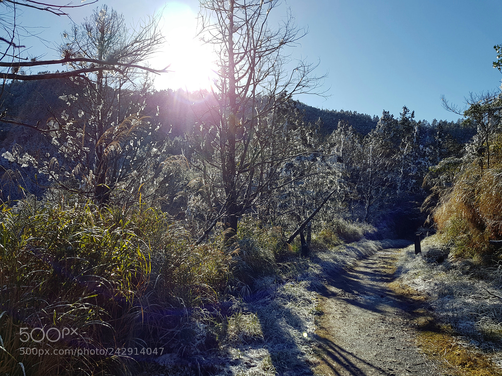 Samsung Galaxy S8 sample photo. Untitled photography