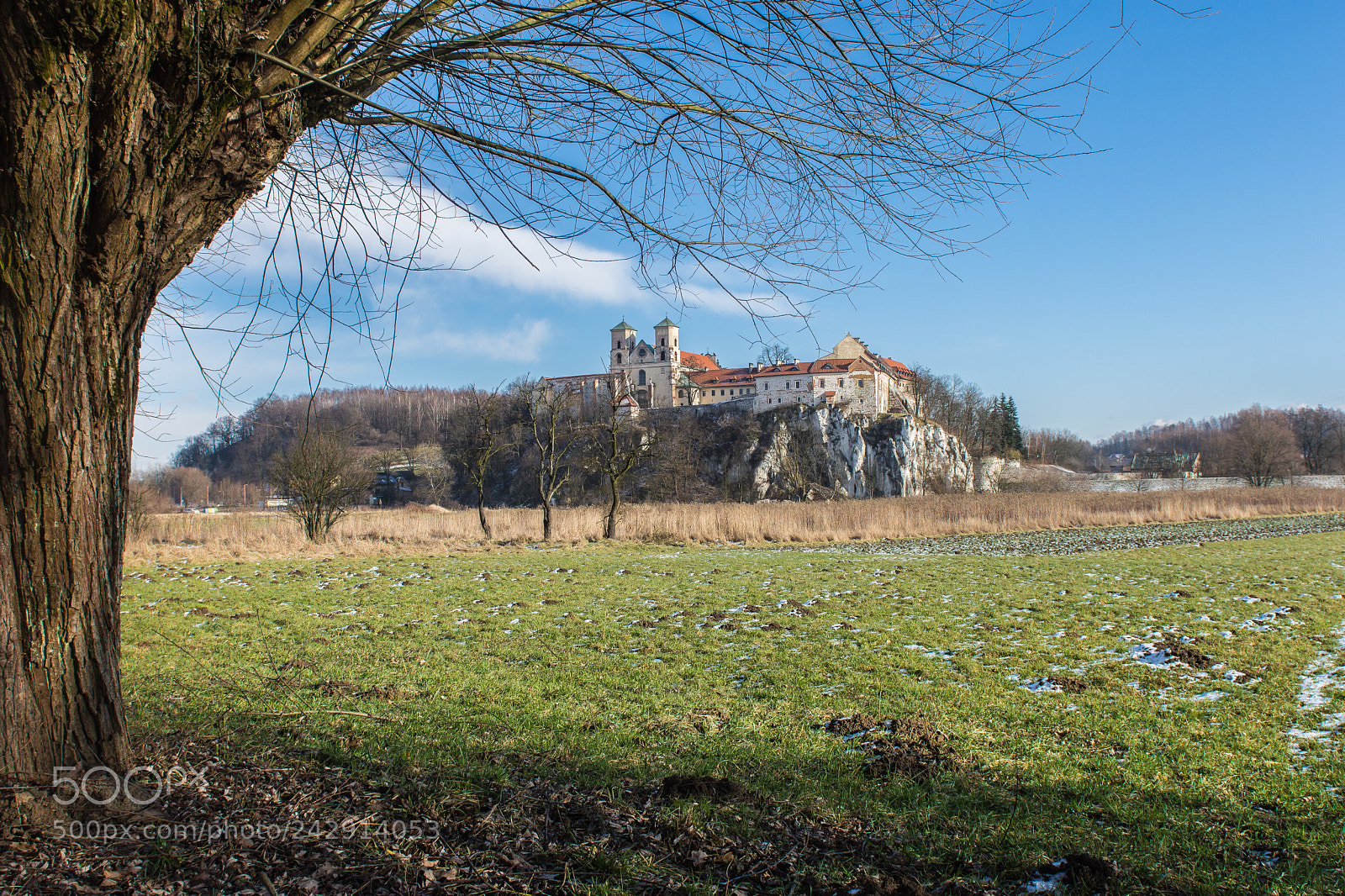 Nikon D7200 sample photo. Monastery in tyniec from photography