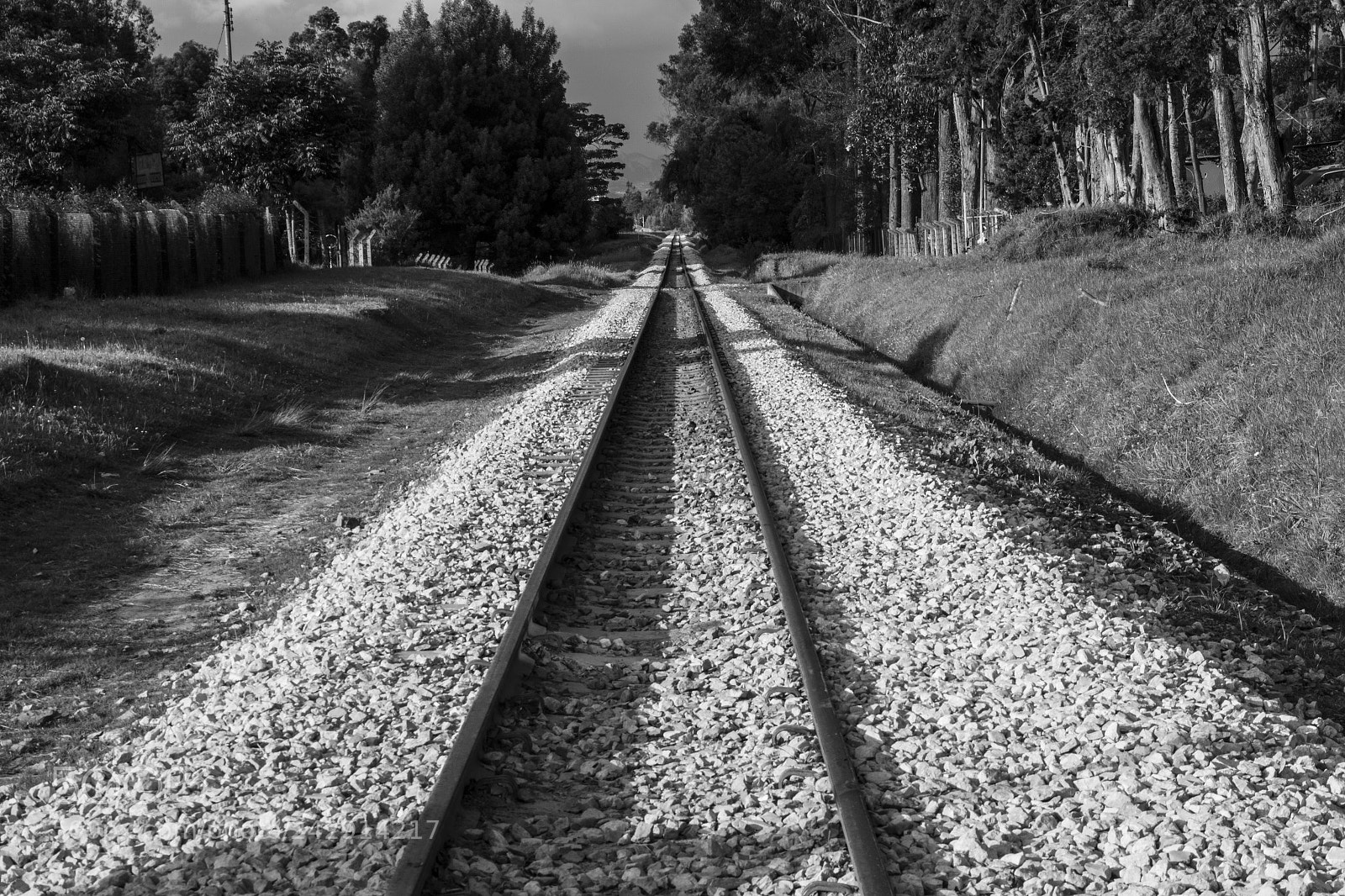 Canon EOS 7D Mark II sample photo. Vias del tren photography