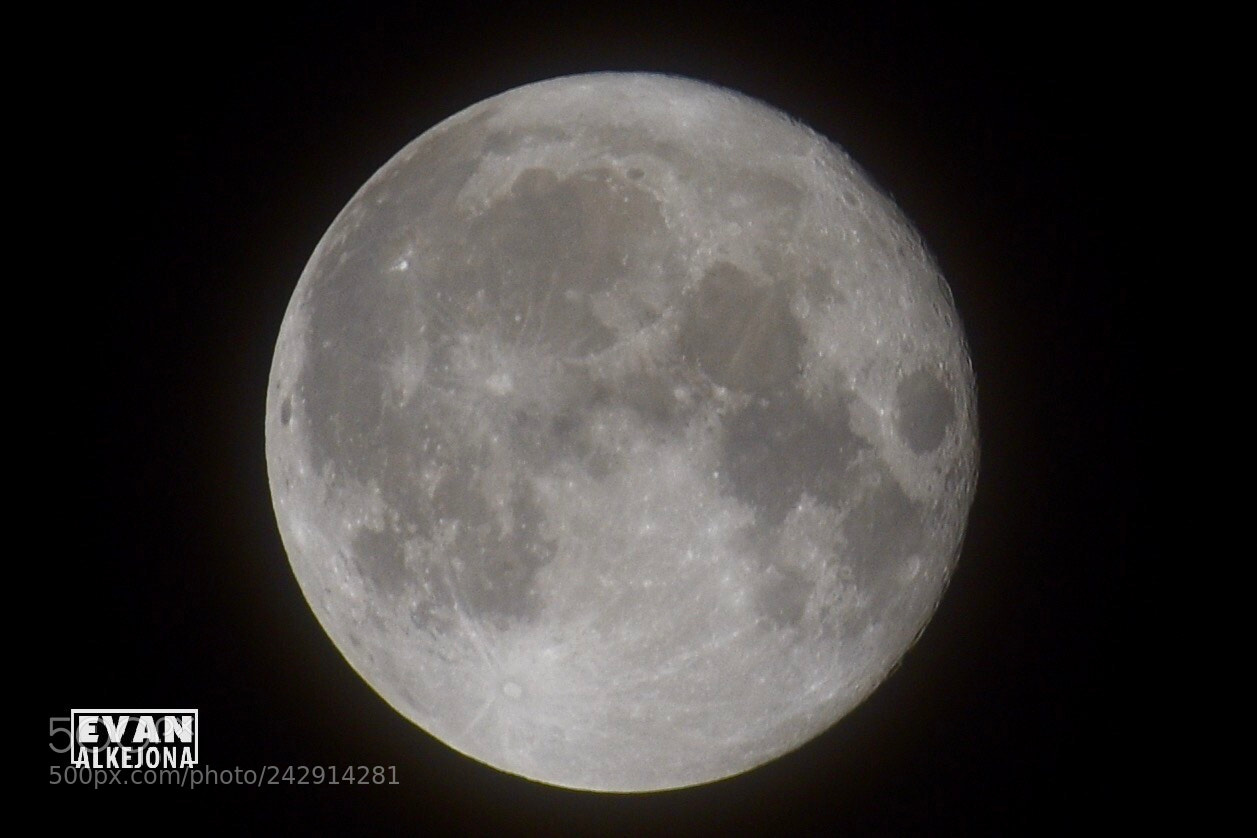 Nikon D7200 sample photo. Untitled photography