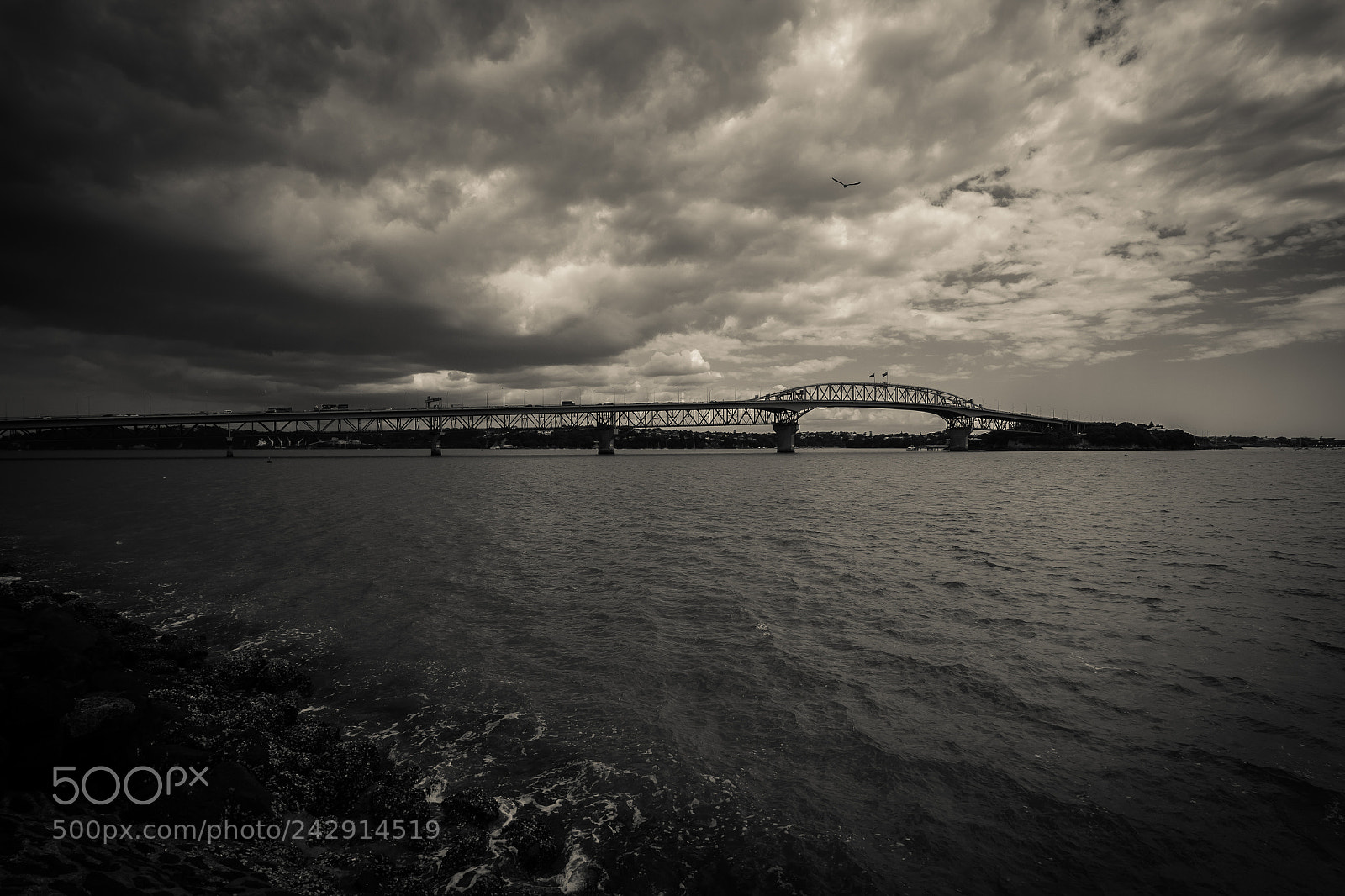 Canon EOS 550D (EOS Rebel T2i / EOS Kiss X4) sample photo. Auckland bridge photography