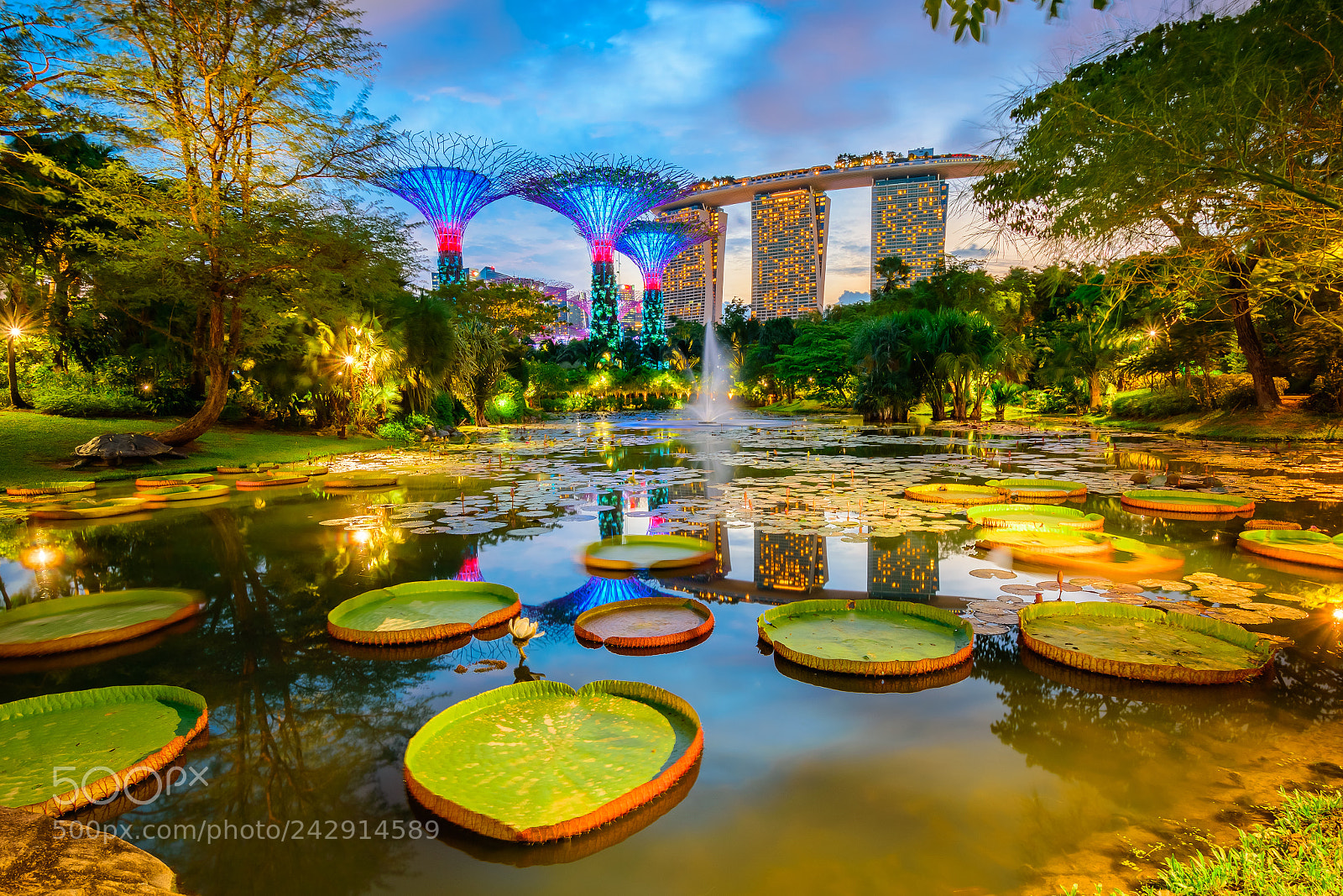 Nikon D5500 sample photo. Garden by the bay photography