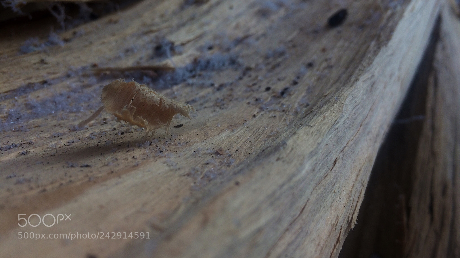 Apple iPhone 5s sample photo. Untitled photography