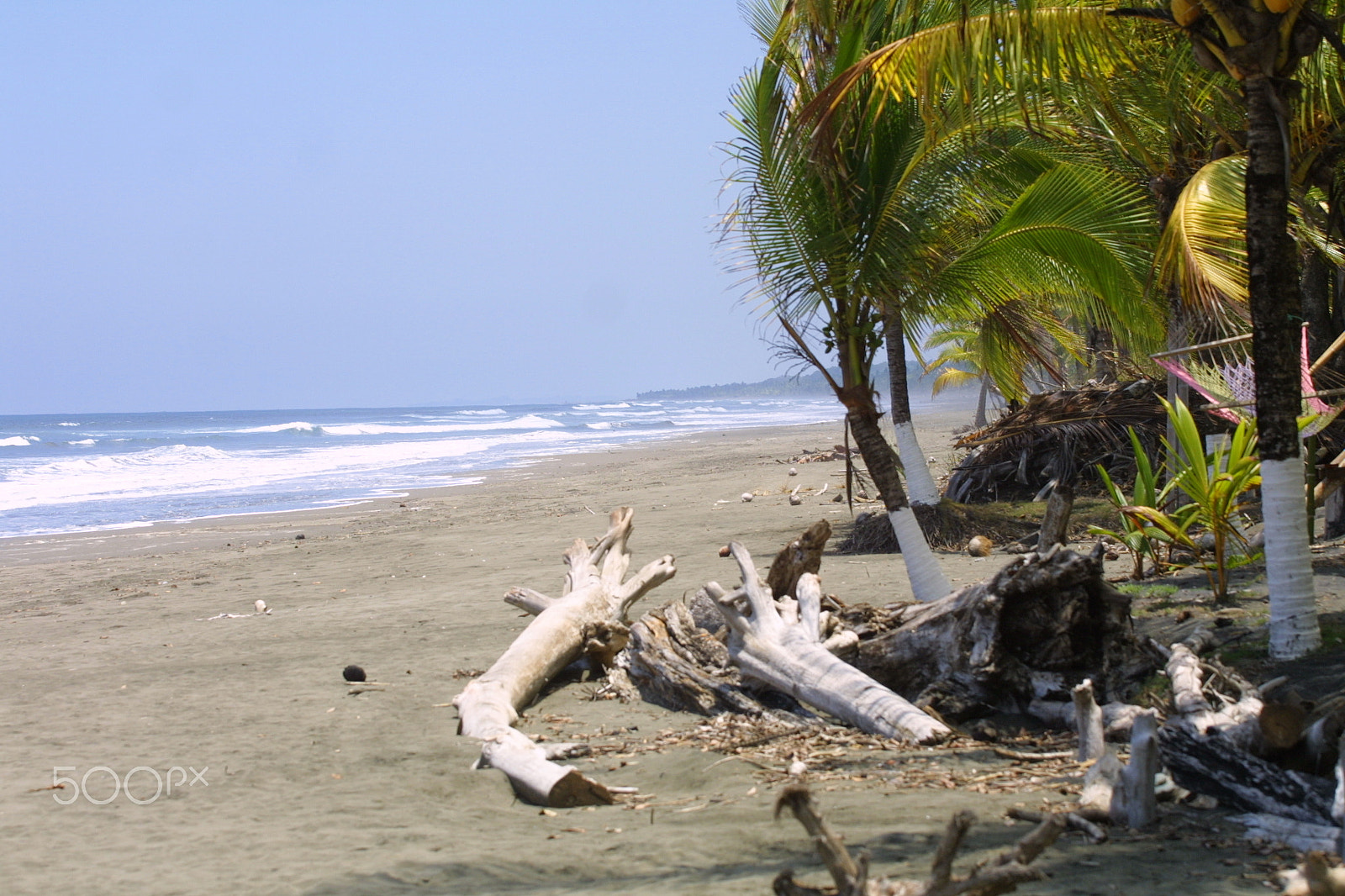 Canon EOS D30 sample photo. Wild beach with wind photography